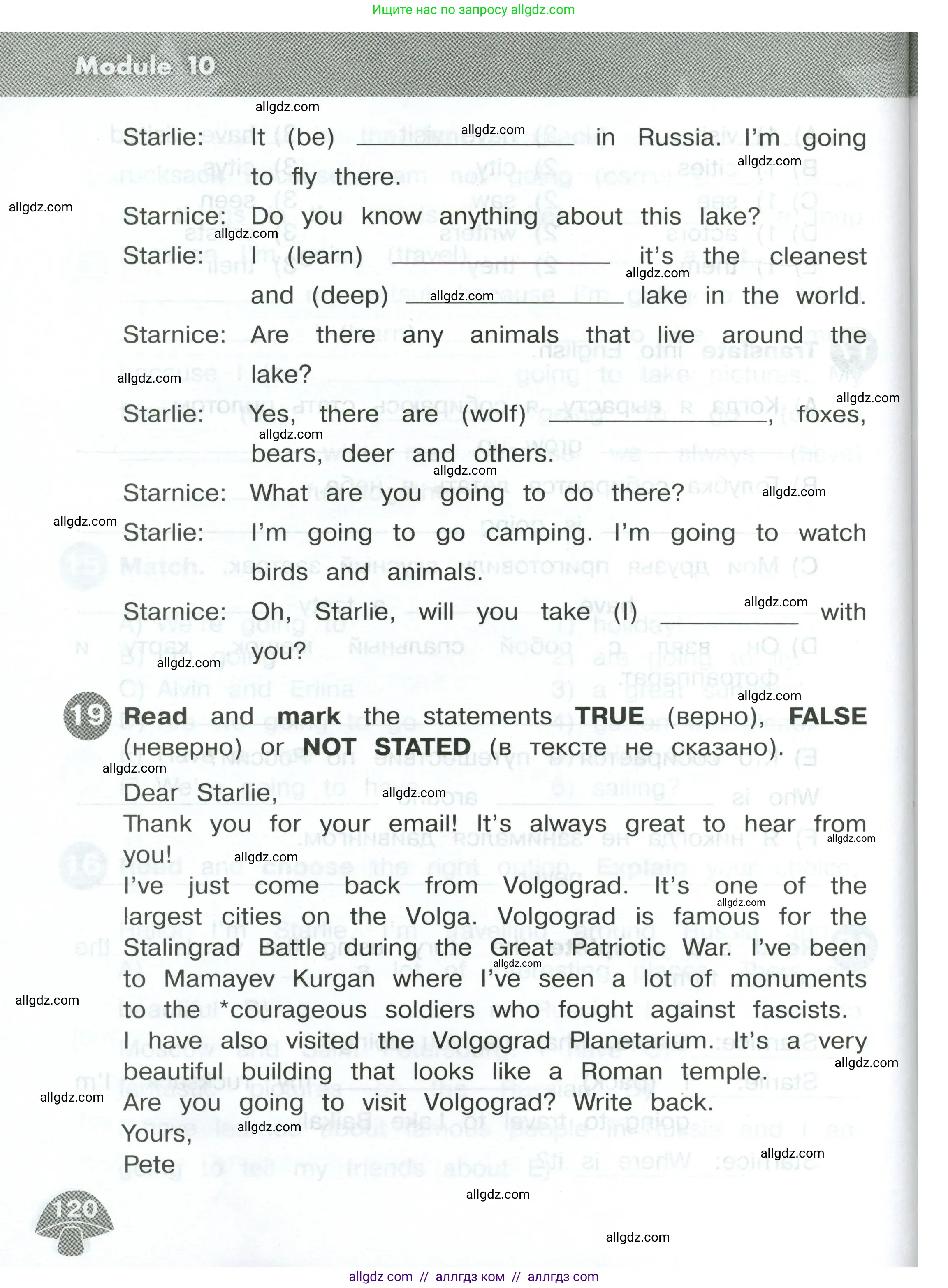 Английский язык (english), 4 класс Сборник упражнений, автор: Котова Марина Петровна, издательство Просвещение, Москва, 2023, белого цвета, страница 120