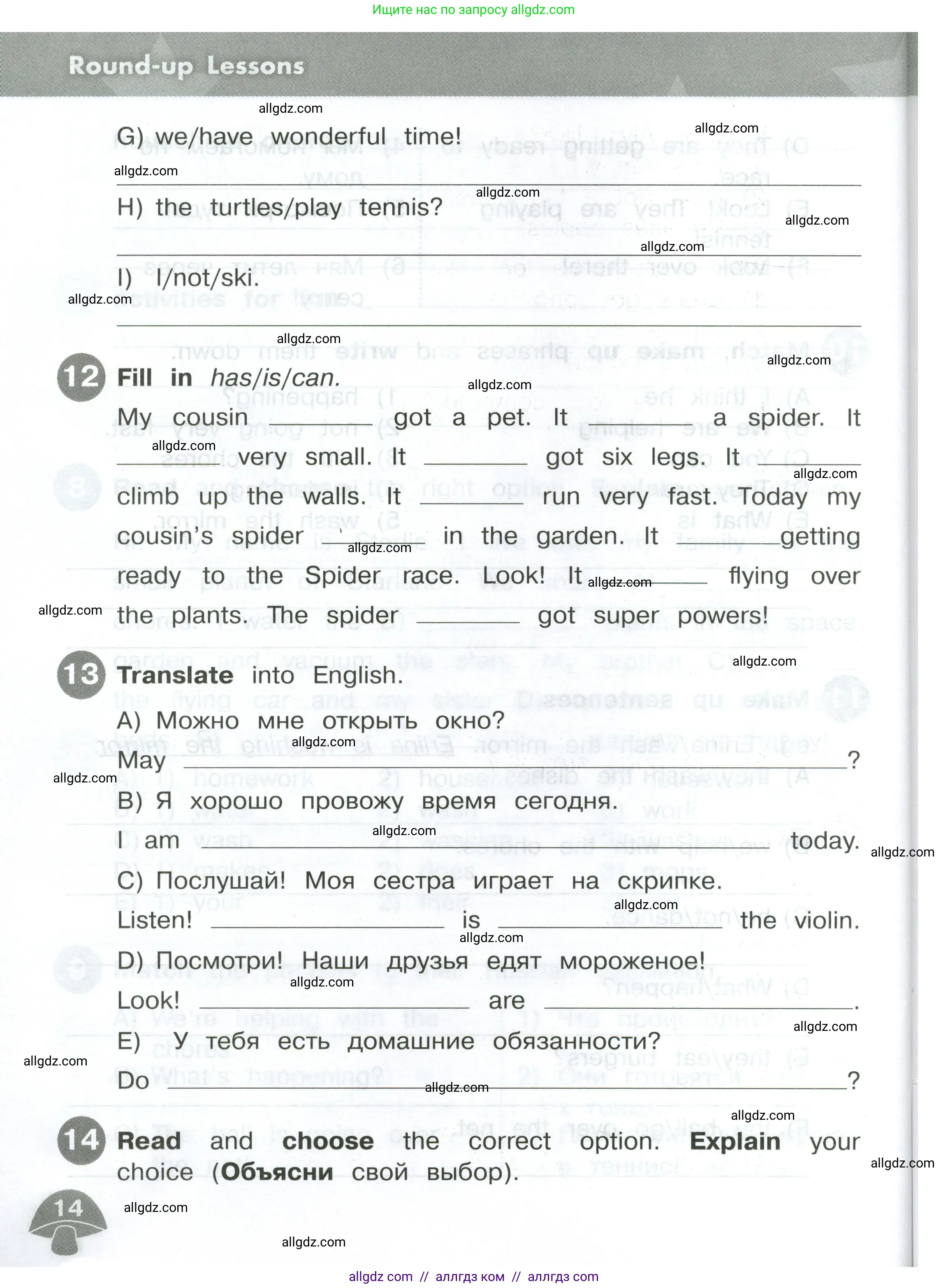 Английский язык (english), 4 класс Сборник упражнений, автор: Котова Марина Петровна, издательство Просвещение, Москва, 2023, белого цвета, страница 14