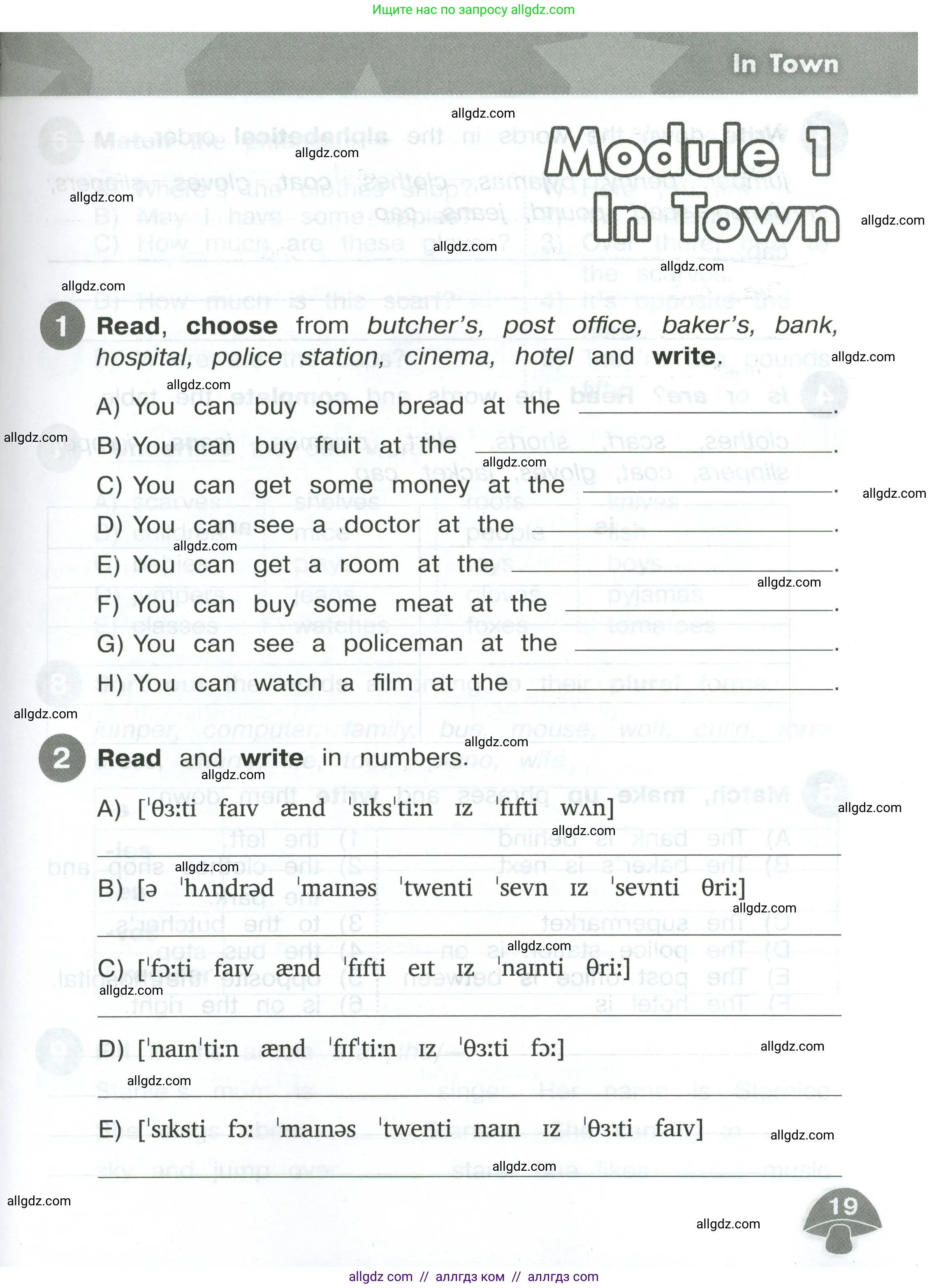 Английский язык (english), 4 класс Сборник упражнений, автор: Котова Марина Петровна, издательство Просвещение, Москва, 2023, белого цвета, страница 19