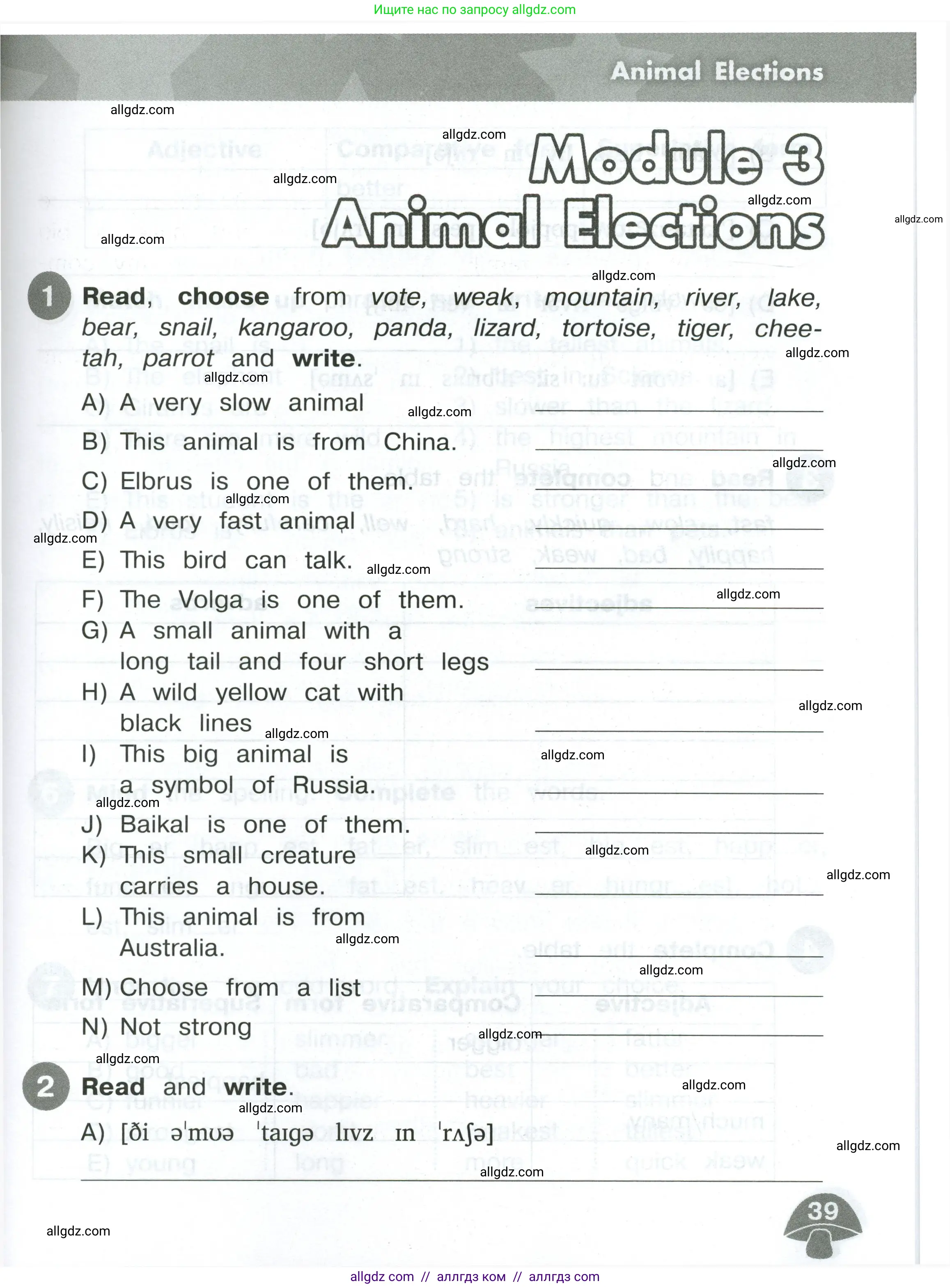 Английский язык (english), 4 класс Сборник упражнений, автор: Котова Марина Петровна, издательство Просвещение, Москва, 2023, белого цвета, страница 39