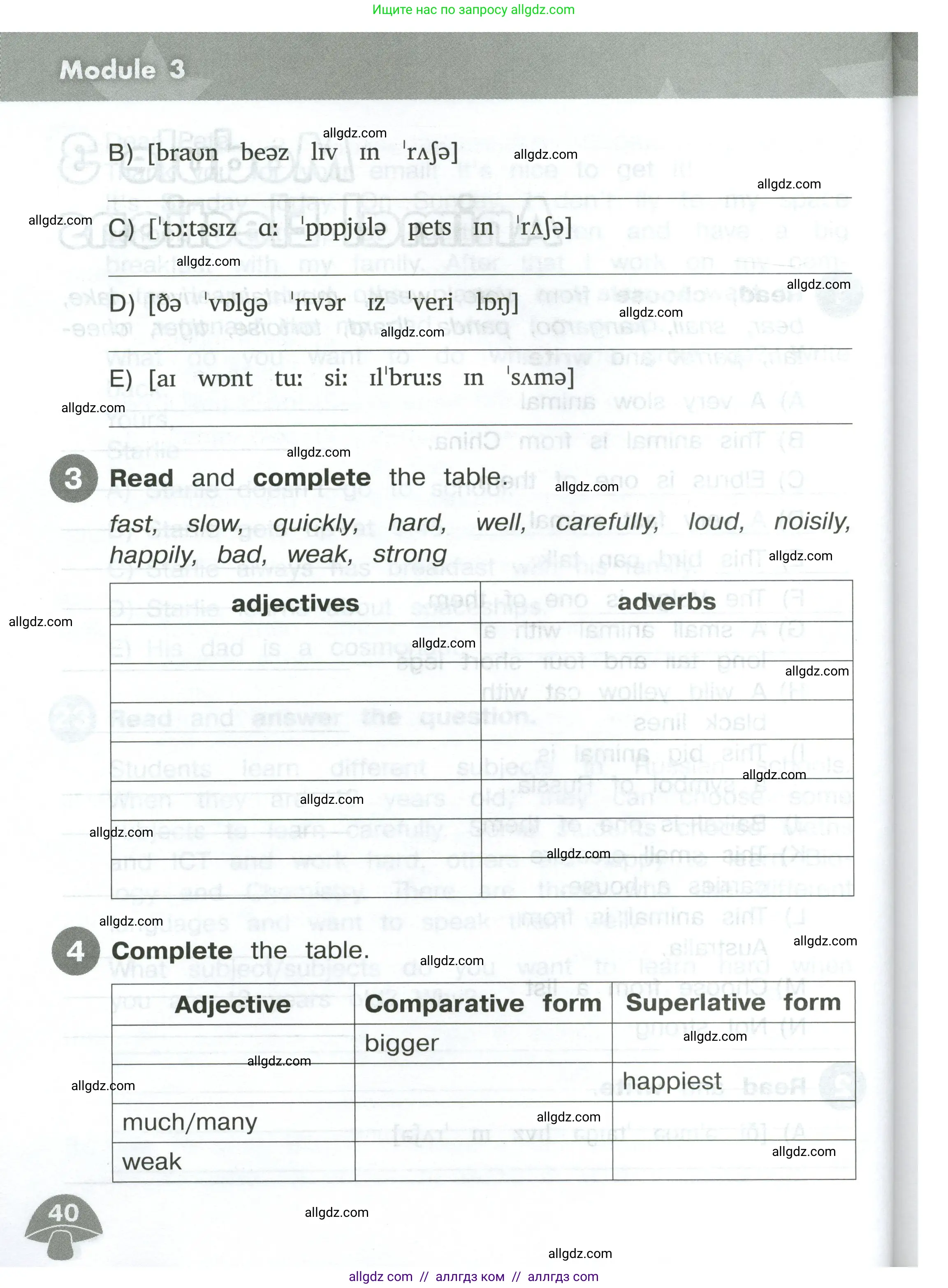 Английский язык (english), 4 класс Сборник упражнений, автор: Котова Марина Петровна, издательство Просвещение, Москва, 2023, белого цвета, страница 40