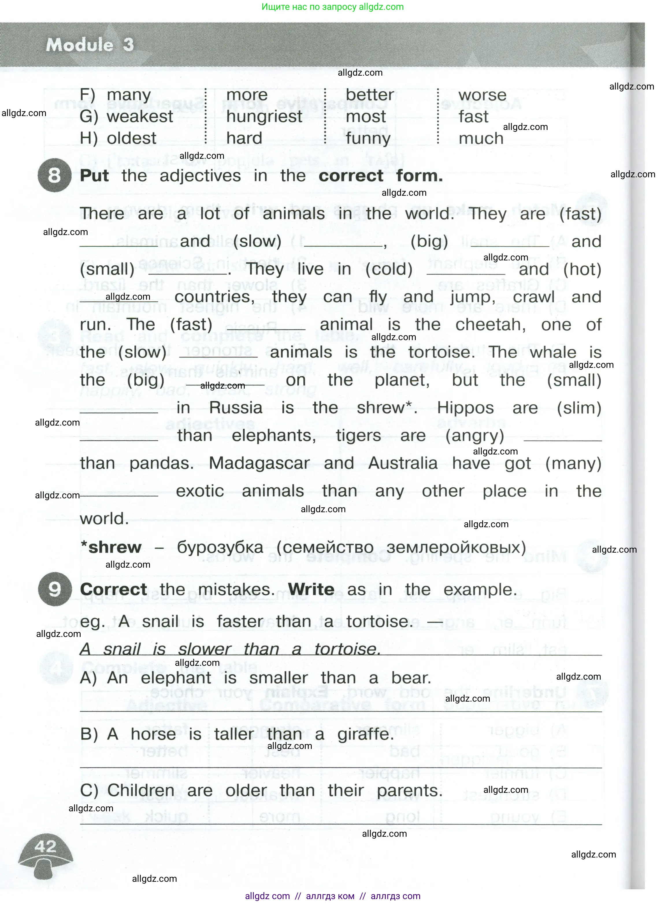 Английский язык (english), 4 класс Сборник упражнений, автор: Котова Марина Петровна, издательство Просвещение, Москва, 2023, белого цвета, страница 42
