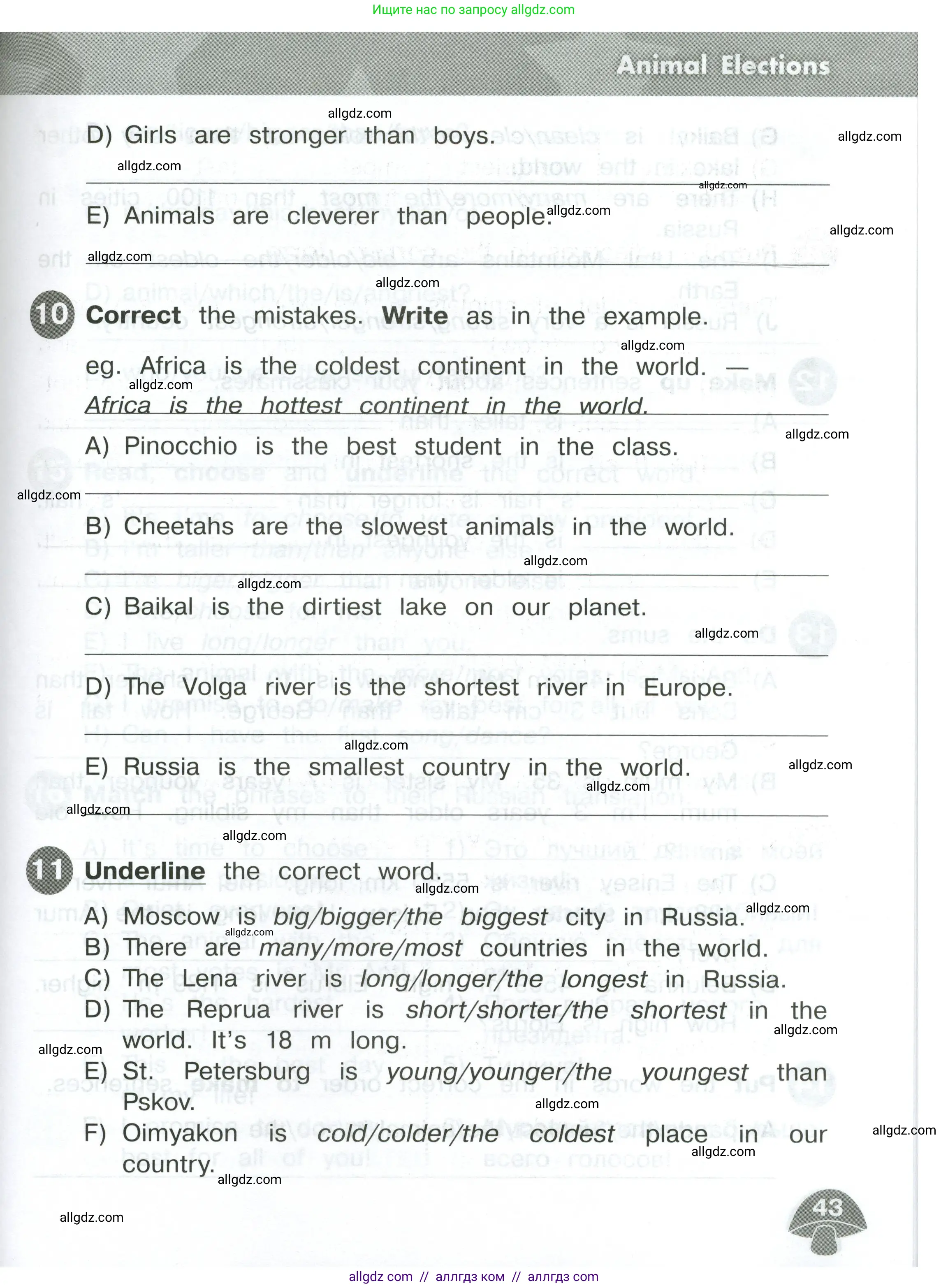 Английский язык (english), 4 класс Сборник упражнений, автор: Котова Марина Петровна, издательство Просвещение, Москва, 2023, белого цвета, страница 43