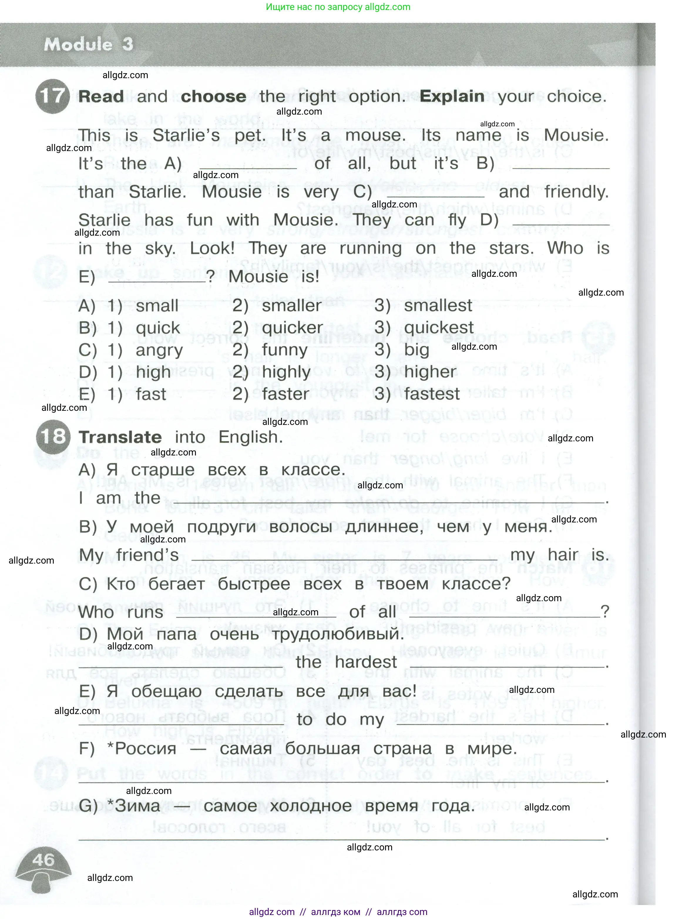 Английский язык (english), 4 класс Сборник упражнений, автор: Котова Марина Петровна, издательство Просвещение, Москва, 2023, белого цвета, страница 46