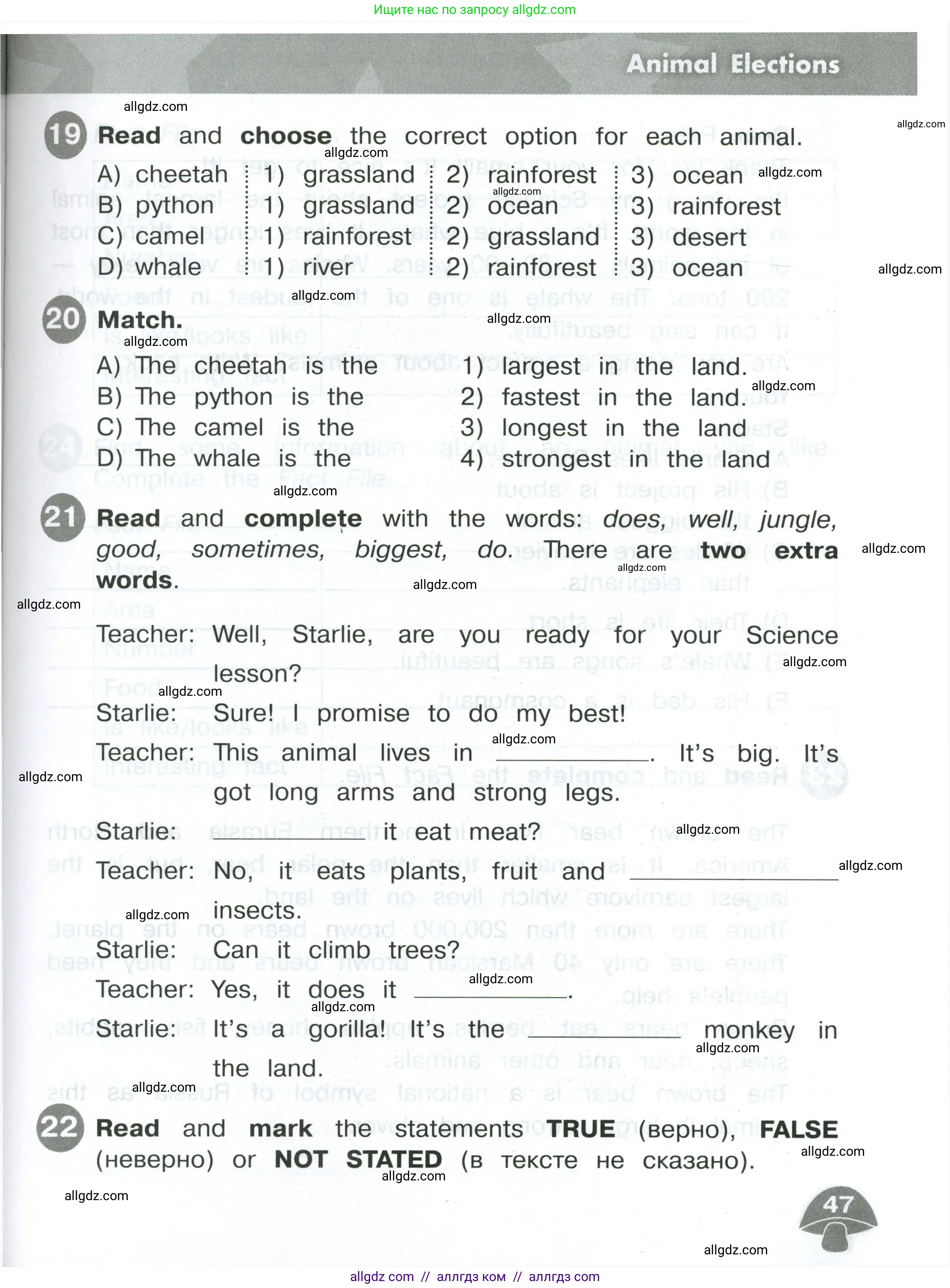 Английский язык (english), 4 класс Сборник упражнений, автор: Котова Марина Петровна, издательство Просвещение, Москва, 2023, белого цвета, страница 47