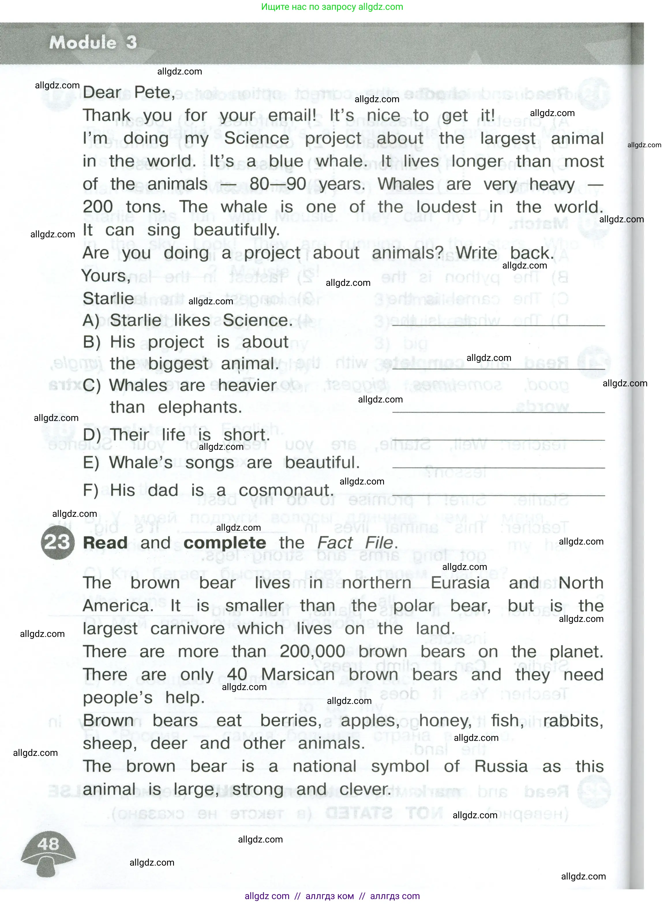 Английский язык (english), 4 класс Сборник упражнений, автор: Котова Марина Петровна, издательство Просвещение, Москва, 2023, белого цвета, страница 48