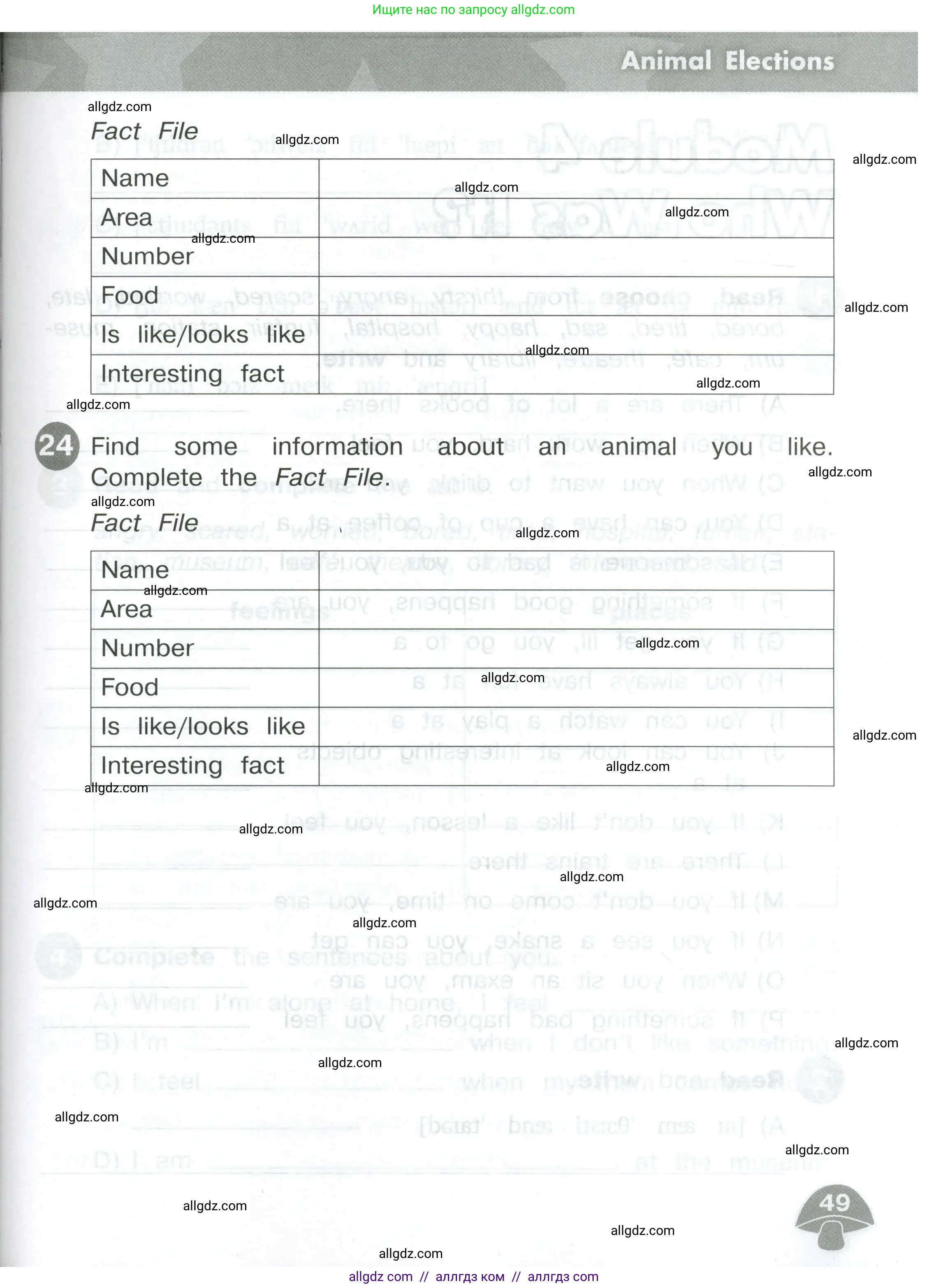 Английский язык (english), 4 класс Сборник упражнений, автор: Котова Марина Петровна, издательство Просвещение, Москва, 2023, белого цвета, страница 49