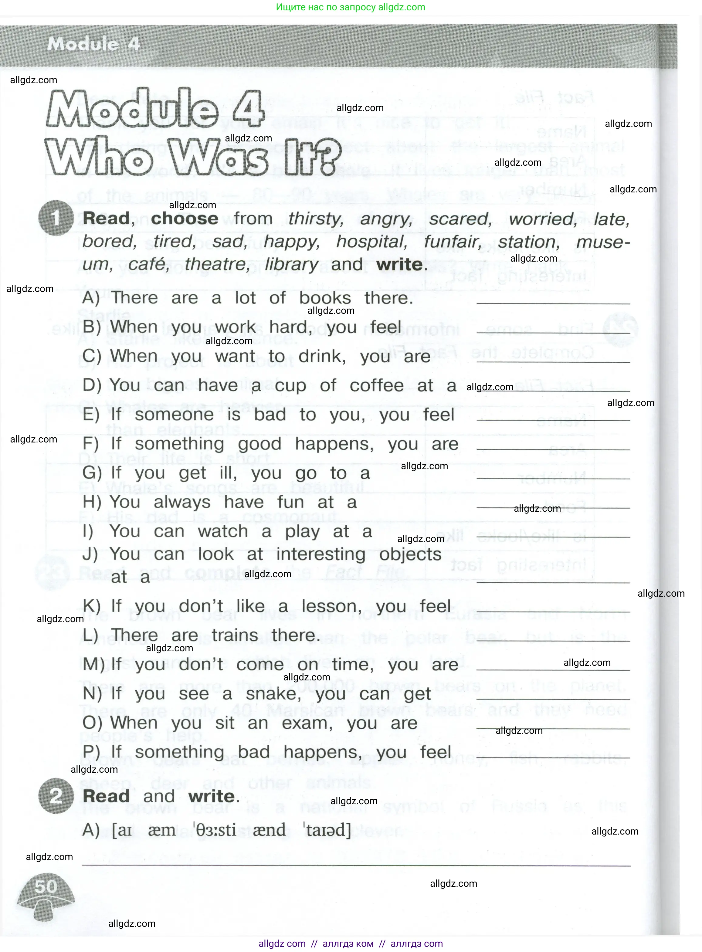 Английский язык (english), 4 класс Сборник упражнений, автор: Котова Марина Петровна, издательство Просвещение, Москва, 2023, белого цвета, страница 50