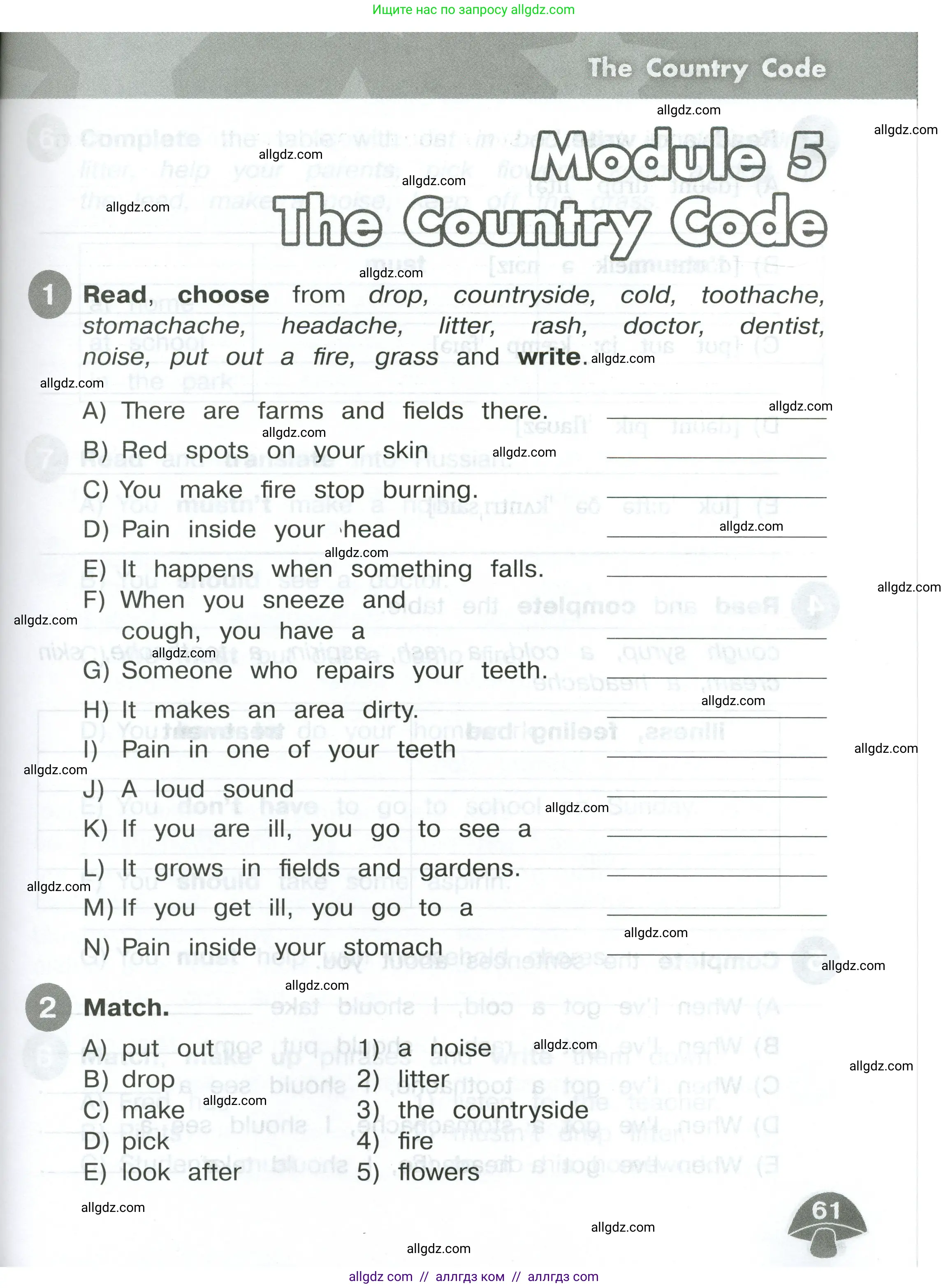 Английский язык (english), 4 класс Сборник упражнений, автор: Котова Марина Петровна, издательство Просвещение, Москва, 2023, белого цвета, страница 61