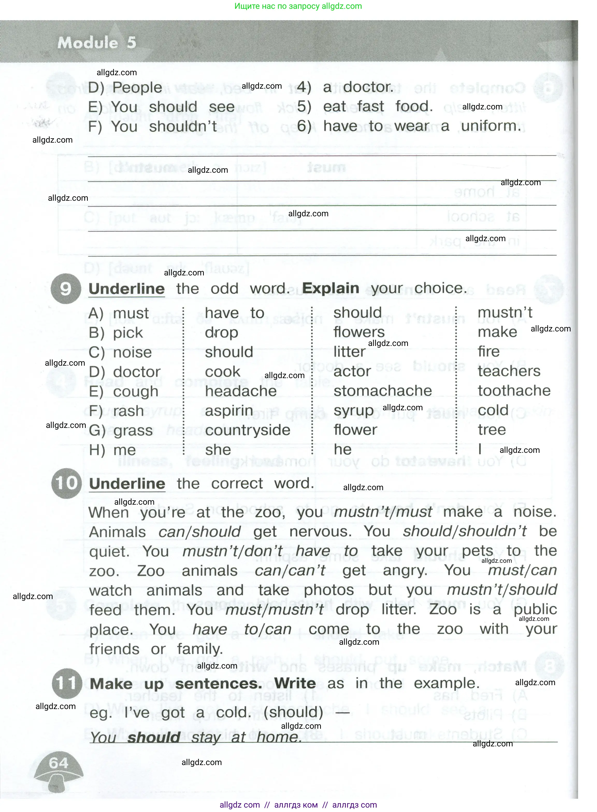 Английский язык (english), 4 класс Сборник упражнений, автор: Котова Марина Петровна, издательство Просвещение, Москва, 2023, белого цвета, страница 64