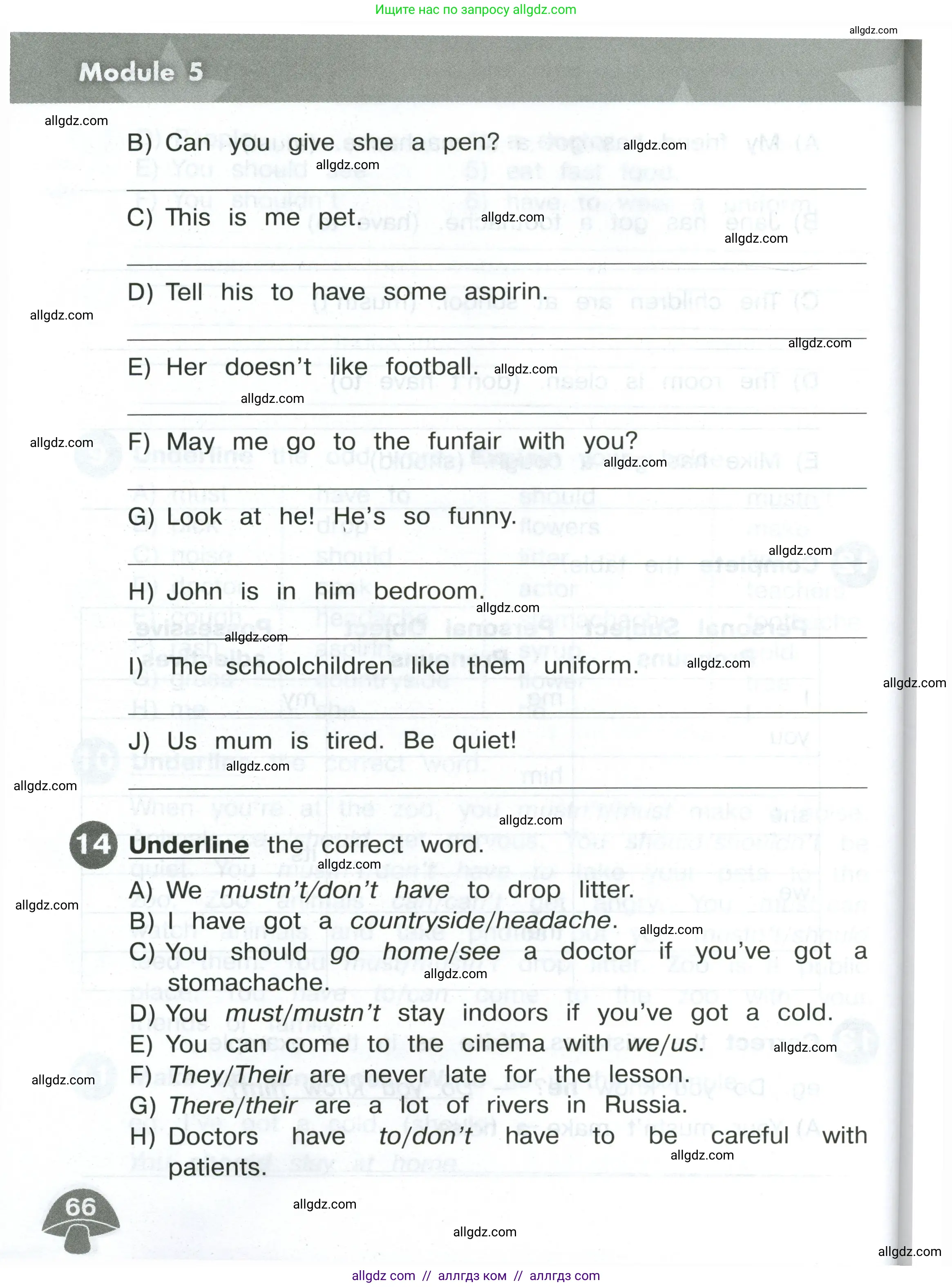 Английский язык (english), 4 класс Сборник упражнений, автор: Котова Марина Петровна, издательство Просвещение, Москва, 2023, белого цвета, страница 66