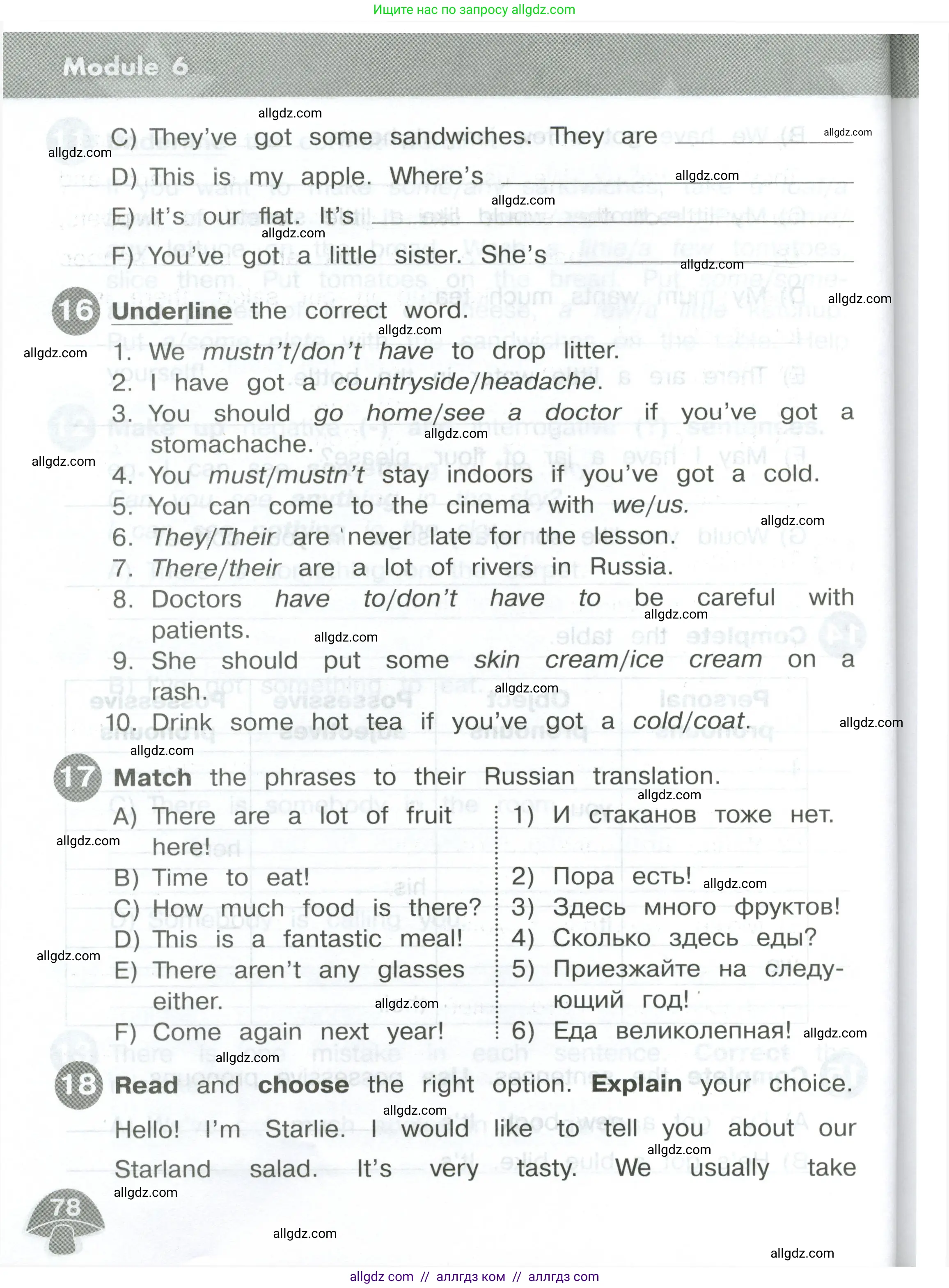 Английский язык (english), 4 класс Сборник упражнений, автор: Котова Марина Петровна, издательство Просвещение, Москва, 2023, белого цвета, страница 78