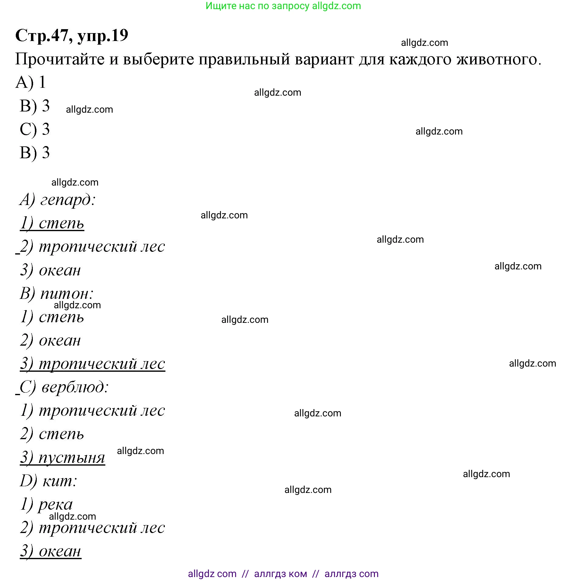 Английский язык (english), 4 класс Сборник упражнений, автор: Котова Марина Петровна, издательство Просвещение, Москва, 2023, белого цвета, страница 47, номер 19, Решение