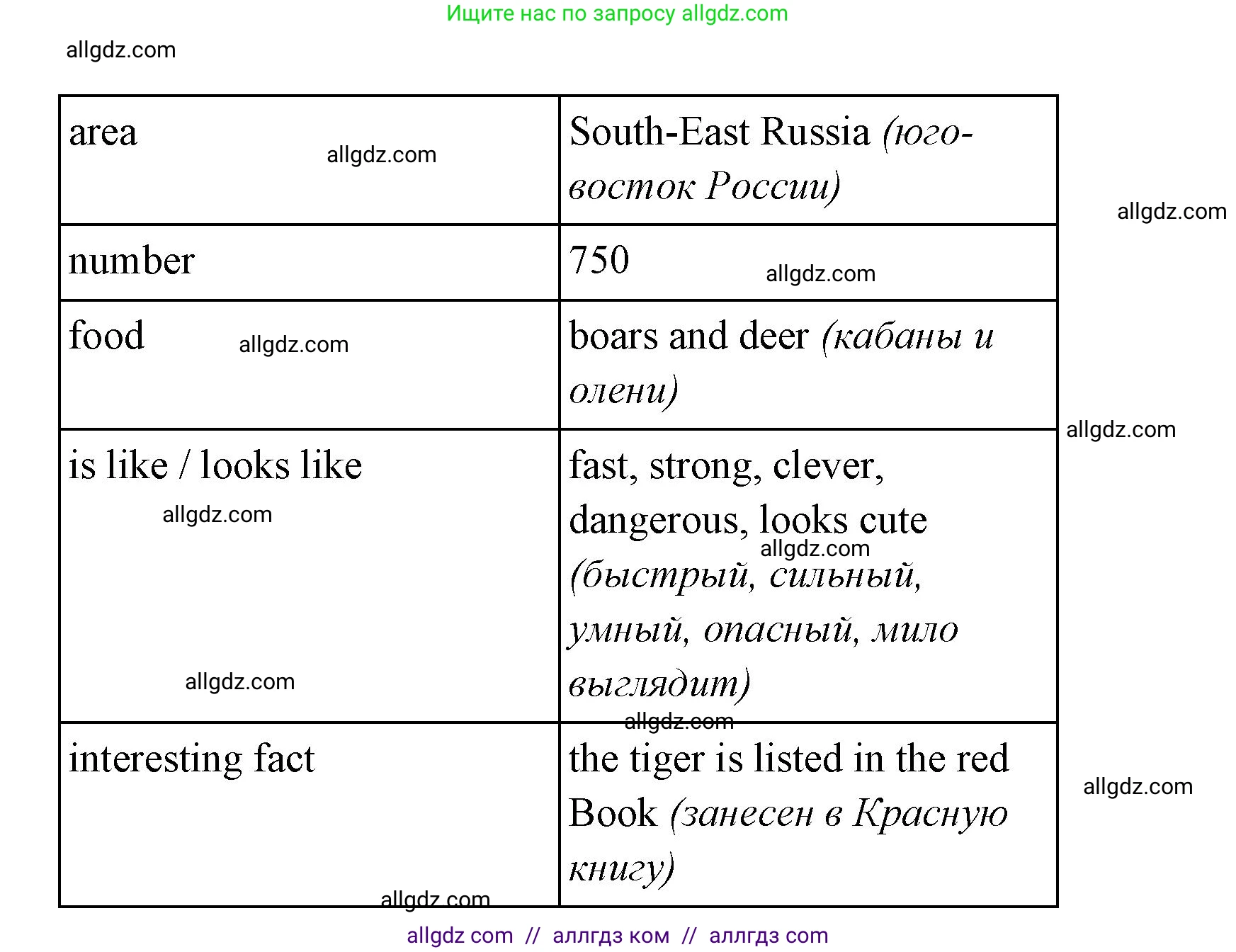 Английский язык (english), 4 класс Сборник упражнений, автор: Котова Марина Петровна, издательство Просвещение, Москва, 2023, белого цвета, страница 49, номер 24, Решение (продолжение 2)