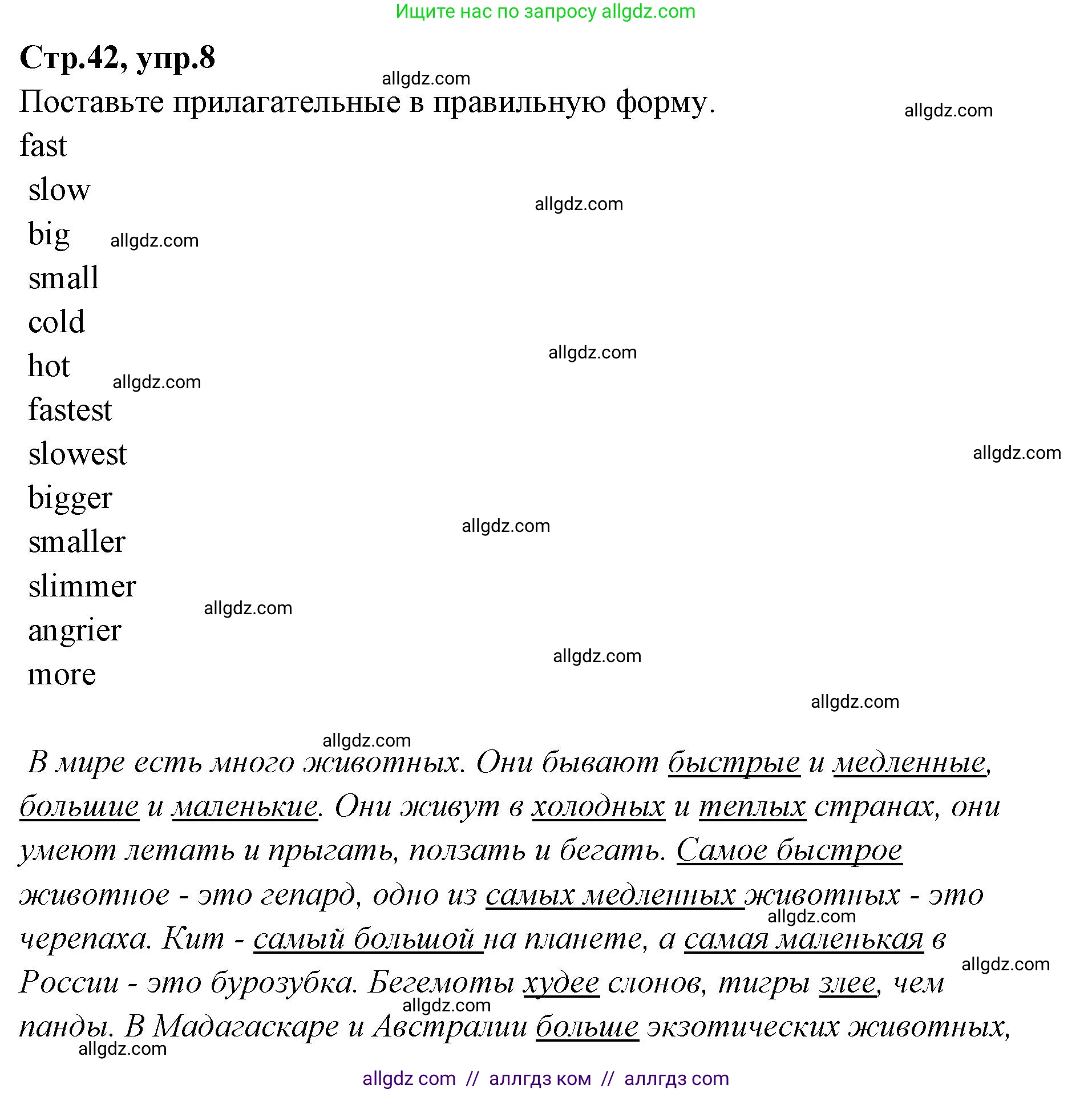 Английский язык (english), 4 класс Сборник упражнений, автор: Котова Марина Петровна, издательство Просвещение, Москва, 2023, белого цвета, страница 42, номер 8, Решение