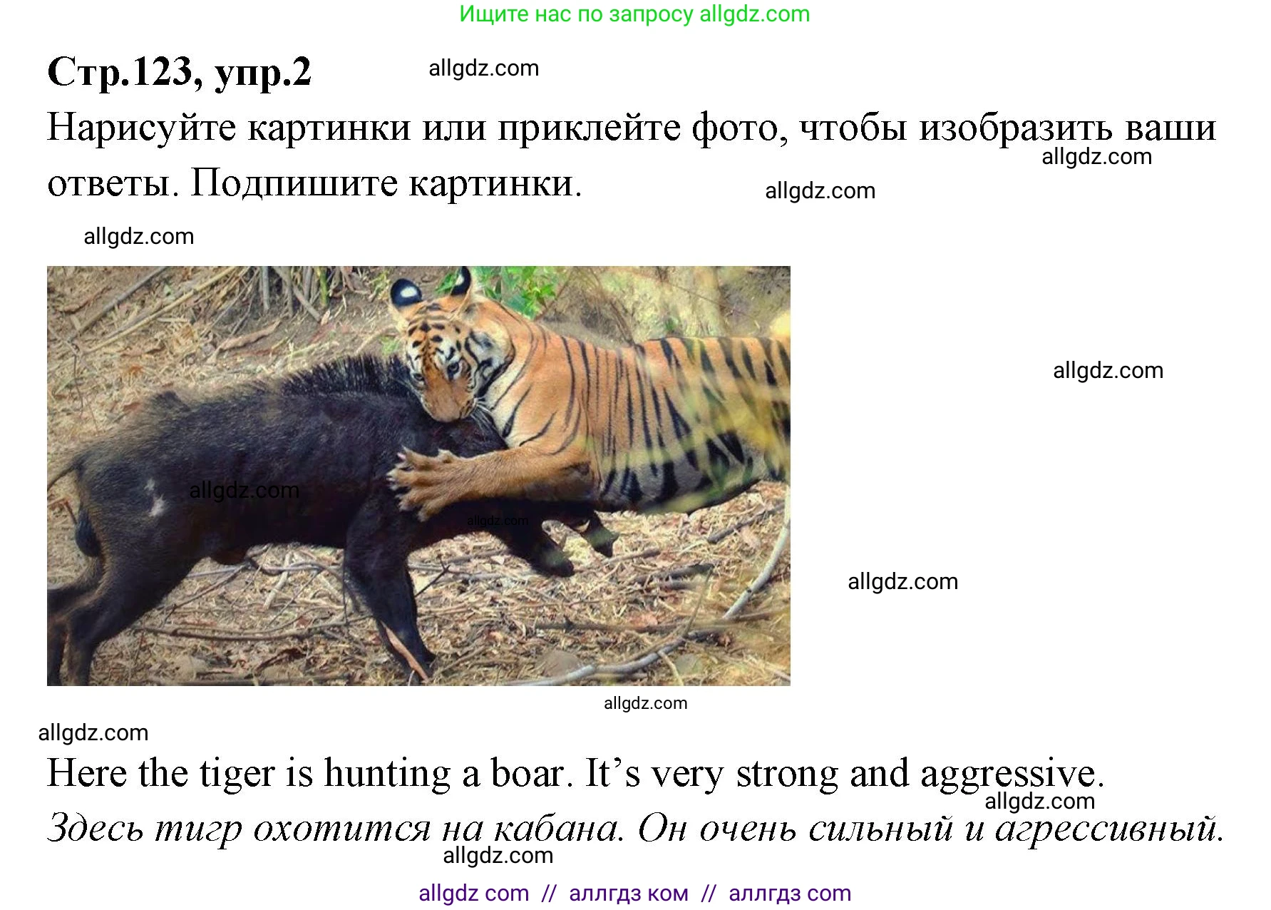 Английский язык (english), 4 класс Сборник упражнений, автор: Котова Марина Петровна, издательство Просвещение, Москва, 2023, белого цвета, страница 123, номер 2, Решение