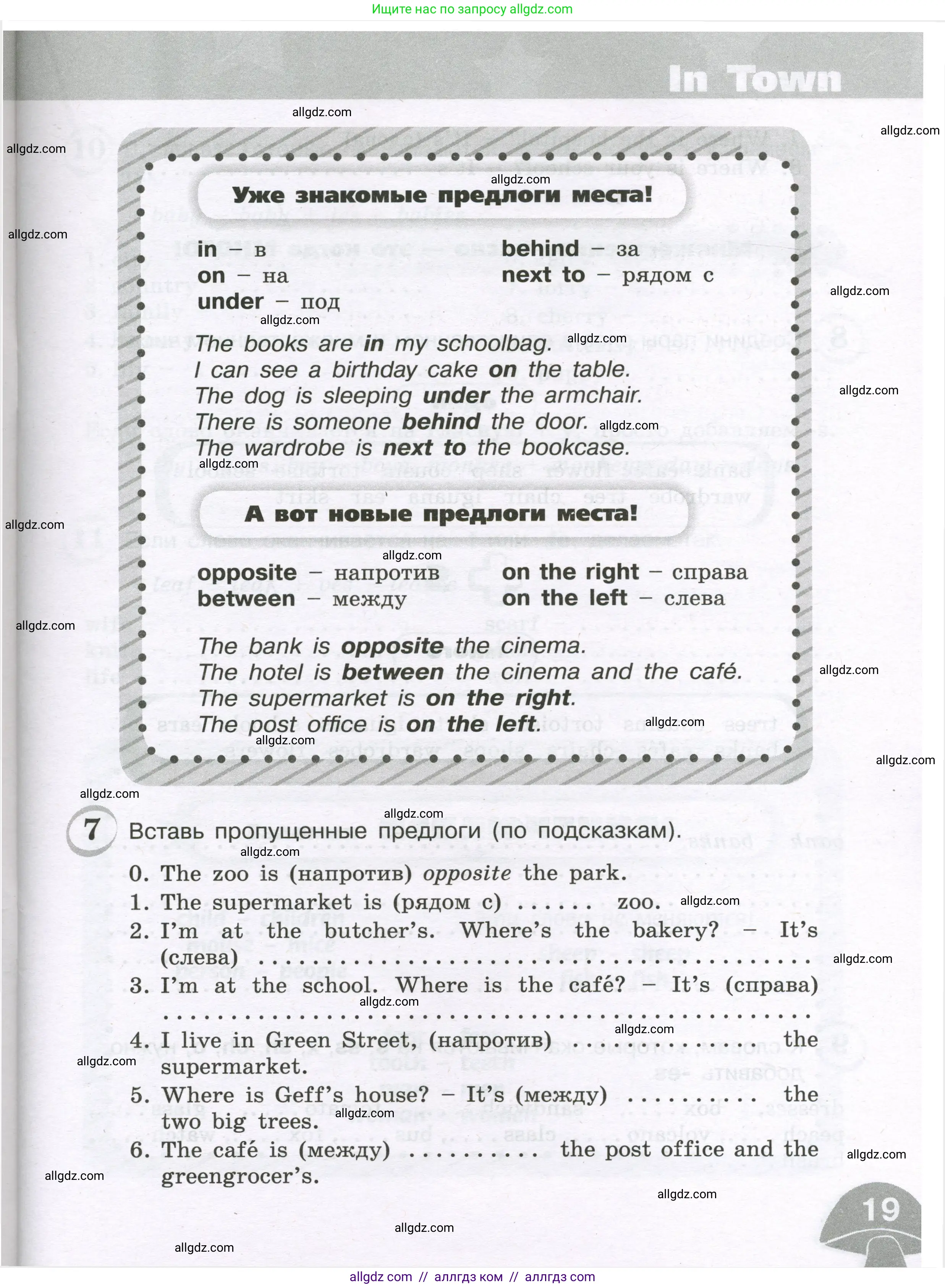 Английский язык (english), 4 класс сборник грамматических упражнений, автор: Рязанцева Светлана Борисовна, издательство Просвещение, Москва, 2023, белого цвета, страница 19