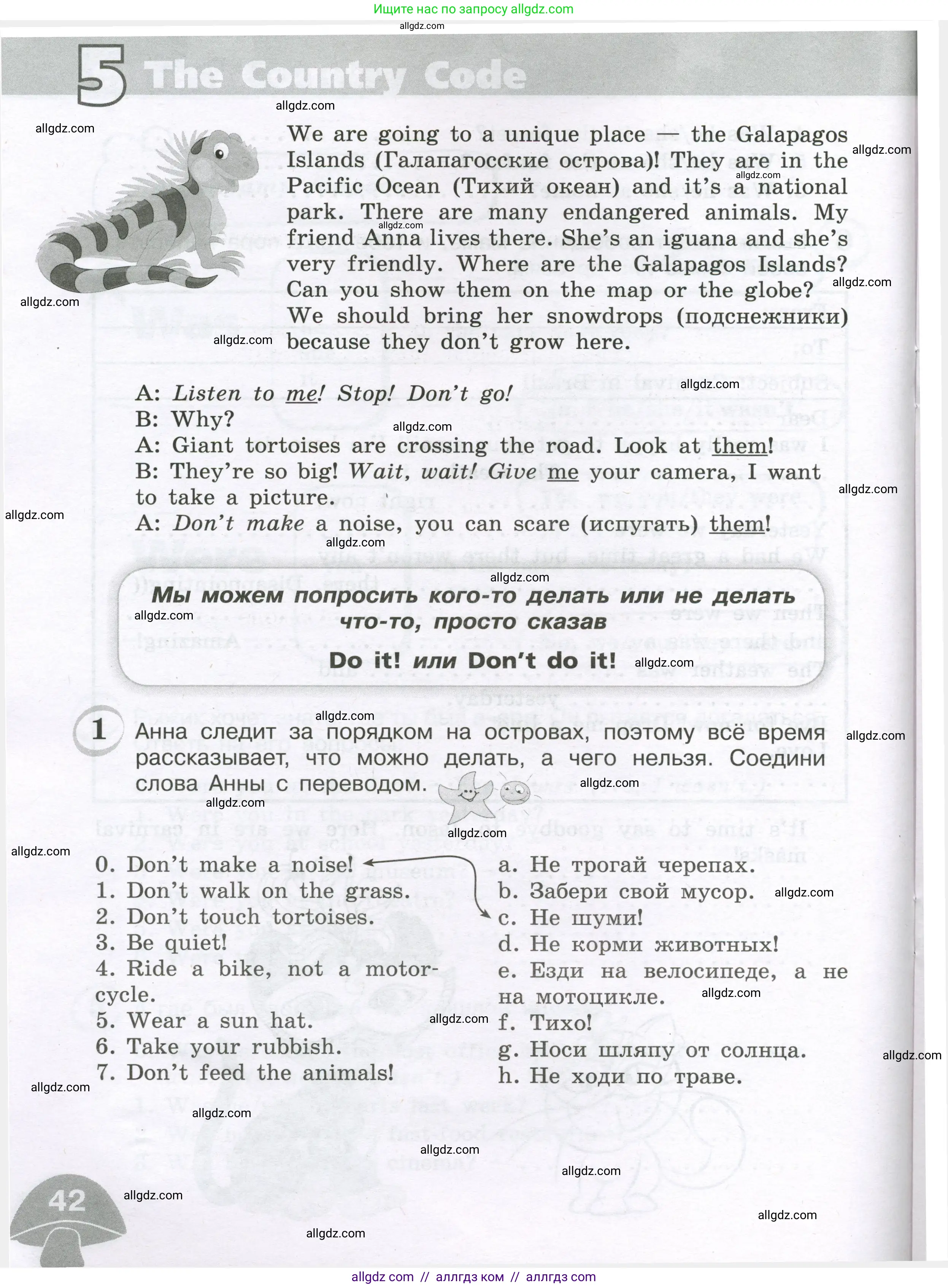 Английский язык (english), 4 класс сборник грамматических упражнений, автор: Рязанцева Светлана Борисовна, издательство Просвещение, Москва, 2023, белого цвета, страница 42
