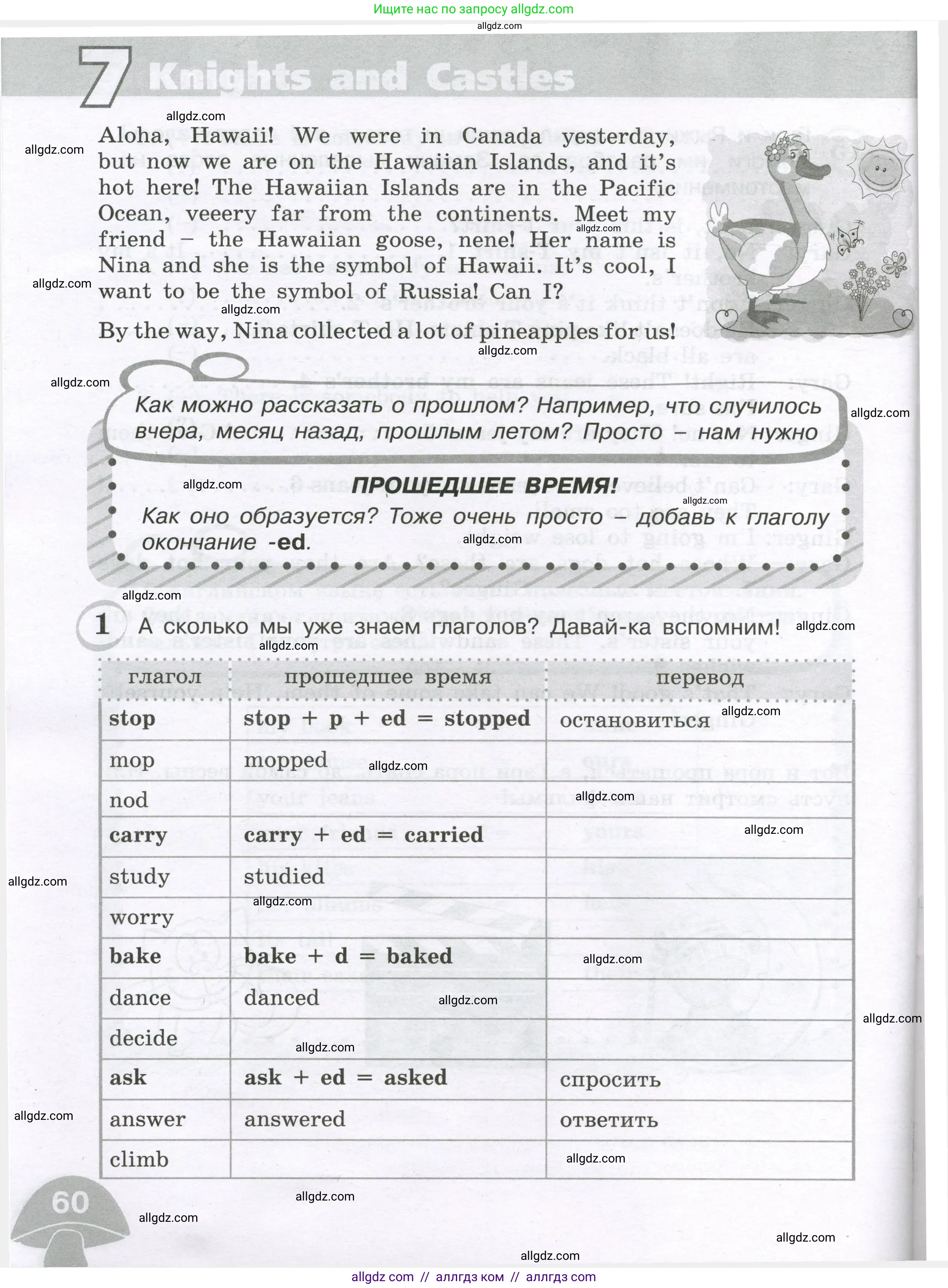 Английский язык (english), 4 класс сборник грамматических упражнений, автор: Рязанцева Светлана Борисовна, издательство Просвещение, Москва, 2023, белого цвета, страница 60