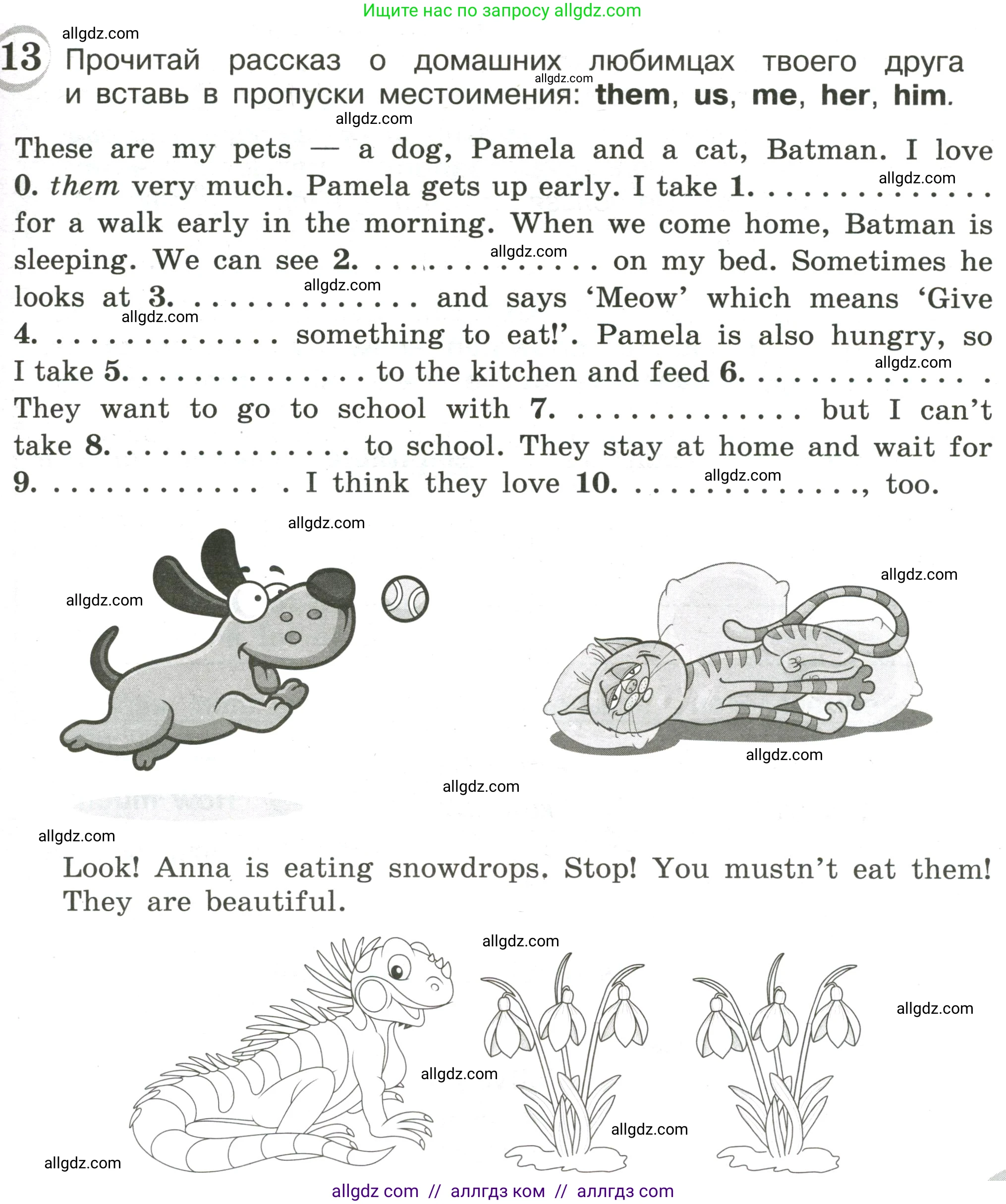 Английский язык (english), 4 класс сборник грамматических упражнений, автор: Рязанцева Светлана Борисовна, издательство Просвещение, Москва, 2023, белого цвета, страница 49, номер 13, Условие