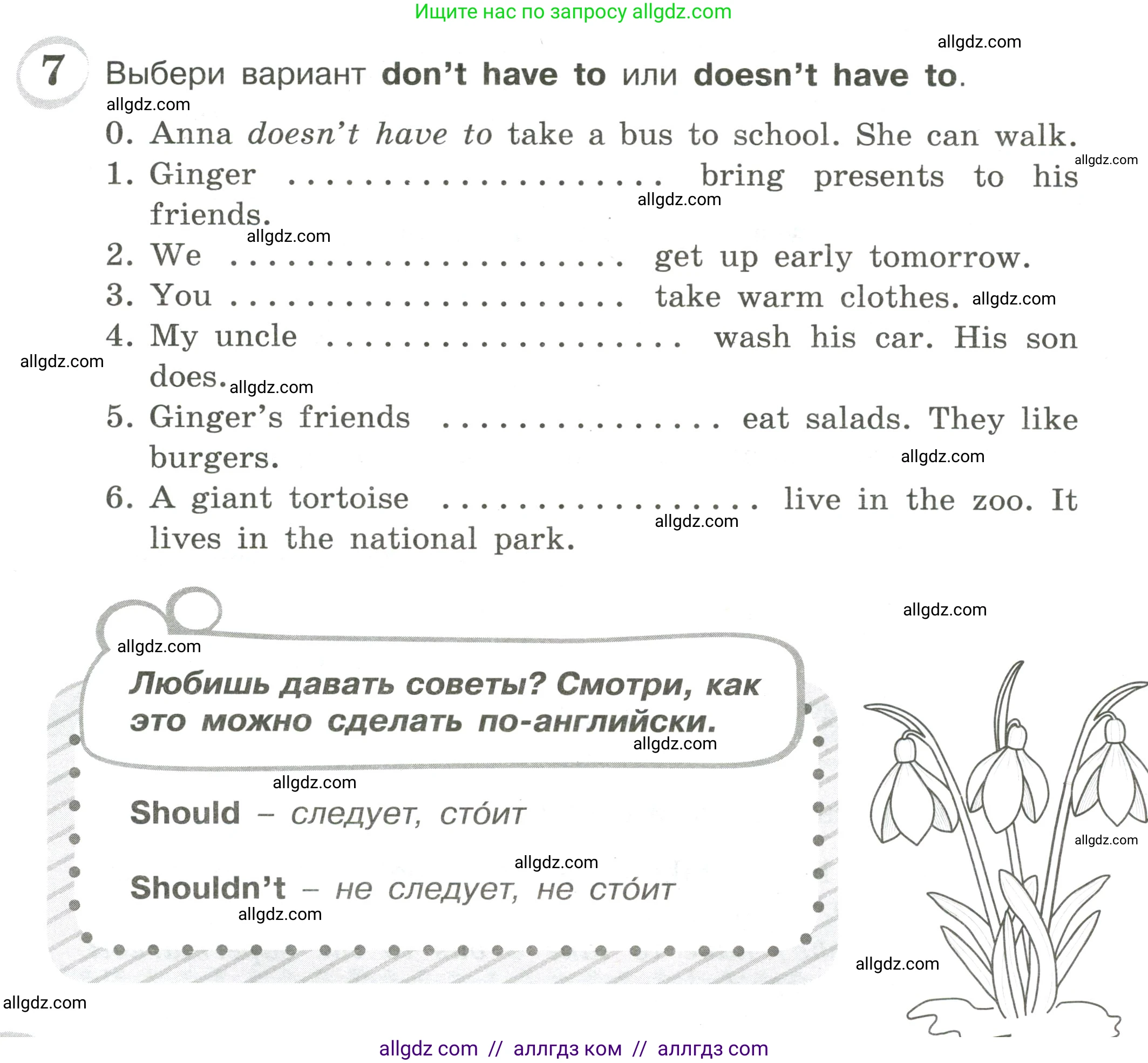Английский язык (english), 4 класс сборник грамматических упражнений, автор: Рязанцева Светлана Борисовна, издательство Просвещение, Москва, 2023, белого цвета, страница 46, номер 7, Условие