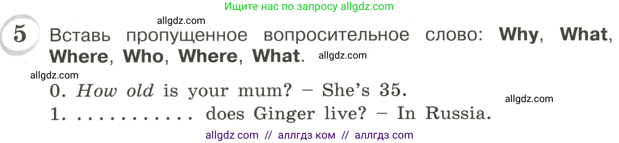 Английский язык (english), 4 класс сборник грамматических упражнений, автор: Рязанцева Светлана Борисовна, издательство Просвещение, Москва, 2023, белого цвета, страница 73, номер 5, Условие