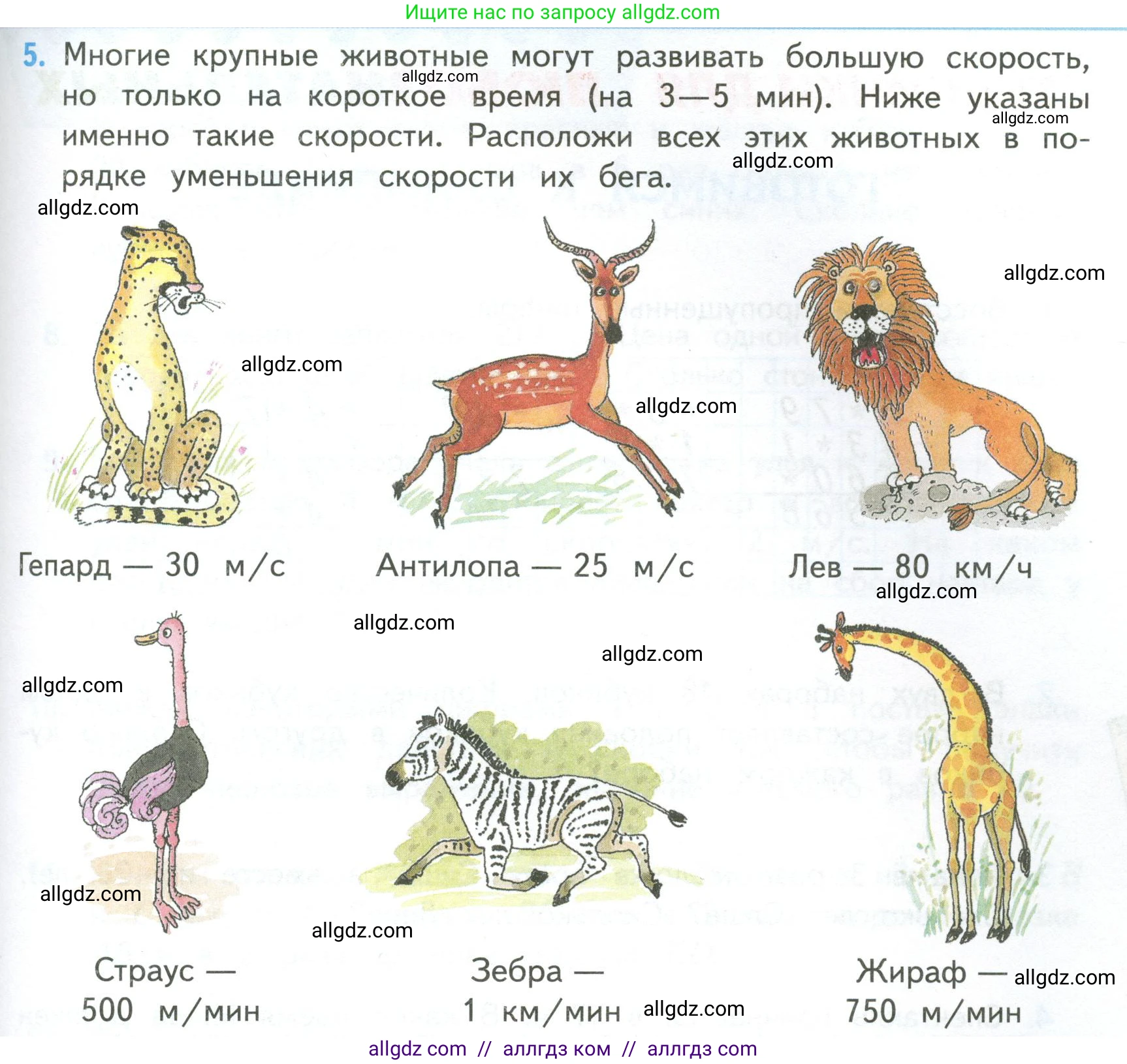 Математика, 4 класс Учебник, авторы: Моро Мария Игнатьевна, Бантова Мария Александровна, Бельтюкова Галина Васильевна, Волкова Светлана Ивановна, Степанова Светлана Вячеславовна, издательство Просвещение, Москва, 2023, белого цвета, Часть 2, страница 81, номер 5, Условие