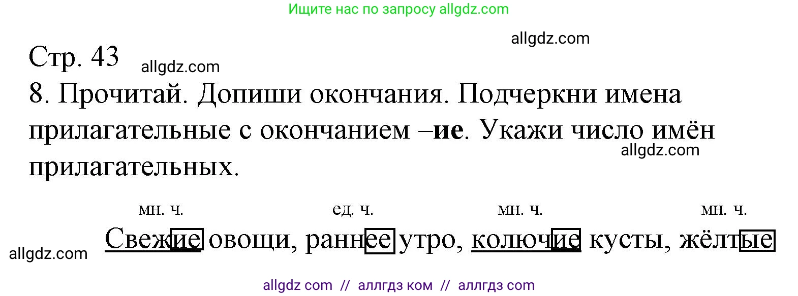 Русский язык, 4 класс Тетрадь учебных достижений, автор: Канакина Валентина Павловна, издательство Просвещение, Москва, 2023, белого цвета, страница 43, номер 8, Решение