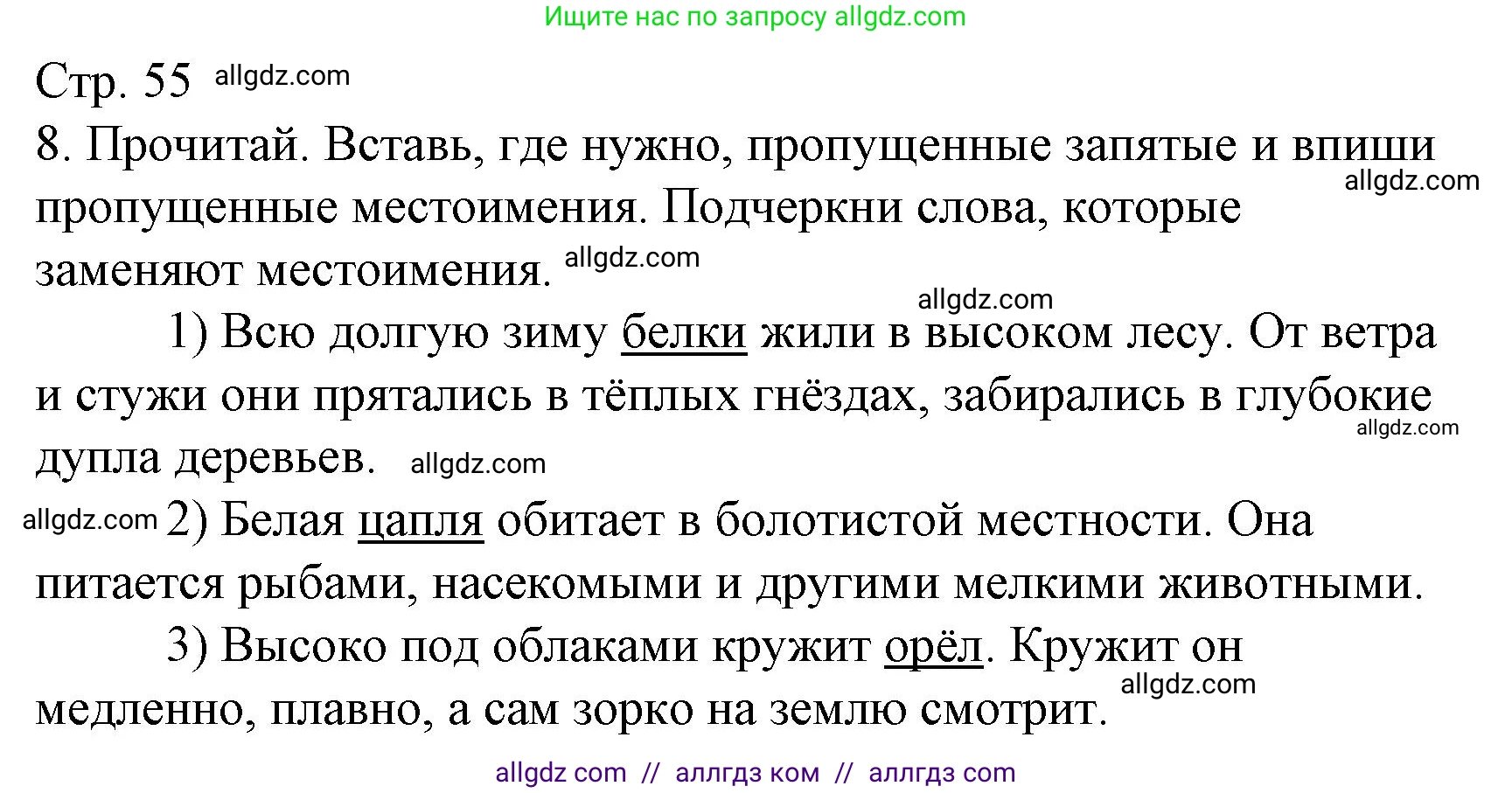 Русский язык, 4 класс Тетрадь учебных достижений, автор: Канакина Валентина Павловна, издательство Просвещение, Москва, 2023, белого цвета, страница 55, номер 8, Решение
