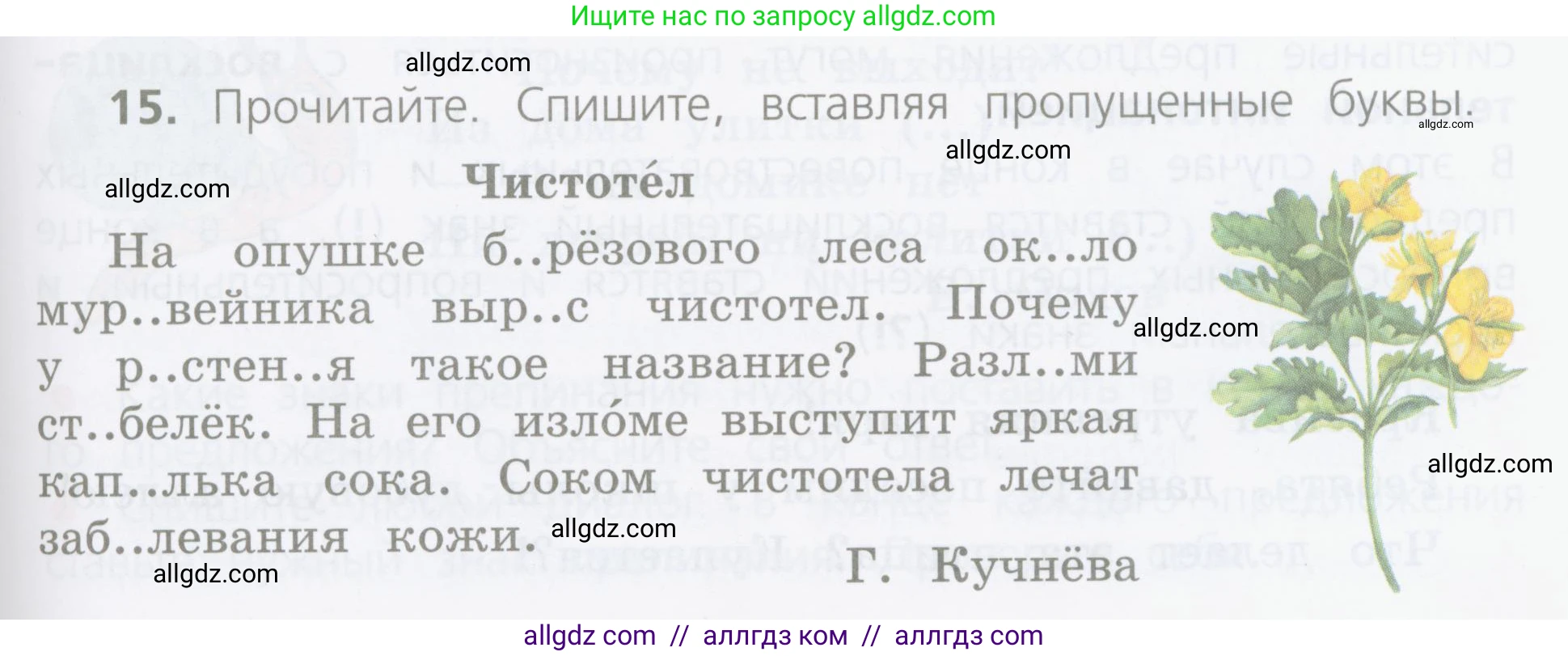 Русский язык, 4 класс Учебник, авторы: Канакина Валентина Павловна, Горецкий Всеслав Гаврилович, издательство Просвещение, Москва, 2023, белого цвета, Часть 1, страница 13, номер 15, Условие