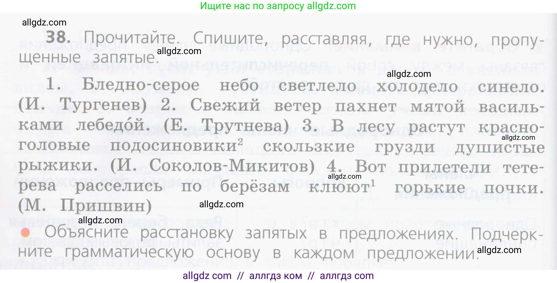 Русский язык, 4 класс Учебник, авторы: Канакина Валентина Павловна, Горецкий Всеслав Гаврилович, издательство Просвещение, Москва, 2023, белого цвета, Часть 1, страница 28, номер 38, Условие