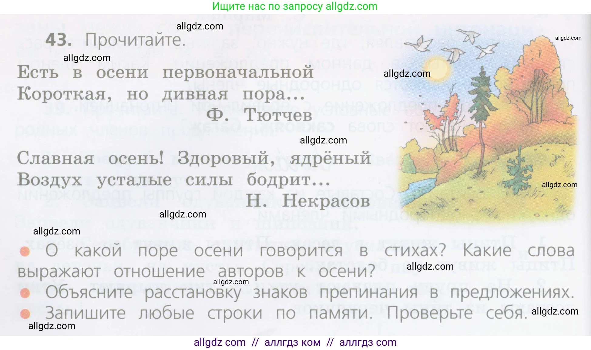 Русский язык, 4 класс Учебник, авторы: Канакина Валентина Павловна, Горецкий Всеслав Гаврилович, издательство Просвещение, Москва, 2023, белого цвета, Часть 1, страница 30, номер 43, Условие