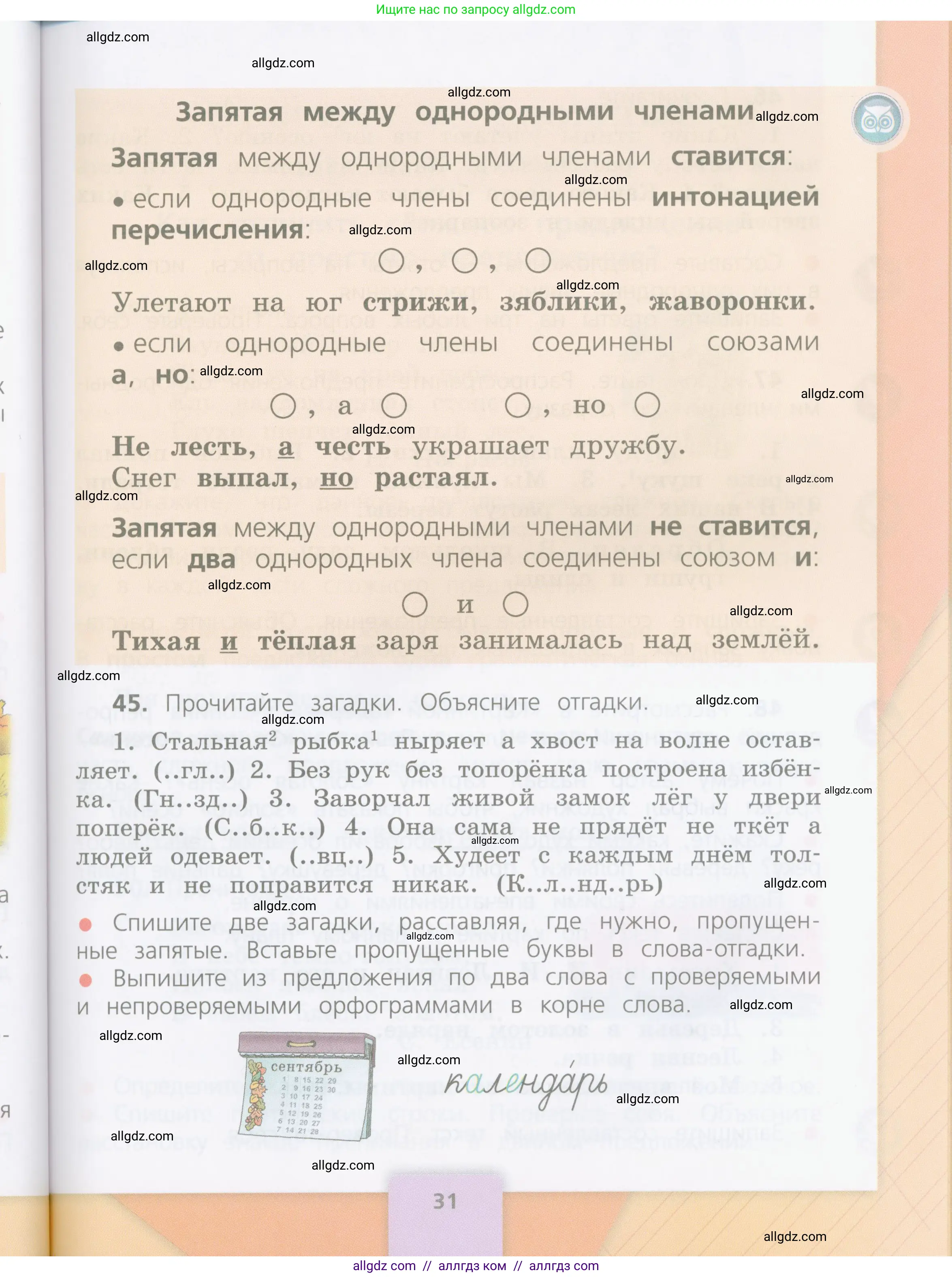 Русский язык, 4 класс Учебник, авторы: Канакина Валентина Павловна, Горецкий Всеслав Гаврилович, издательство Просвещение, Москва, 2023, белого цвета, Часть 1, страница 31