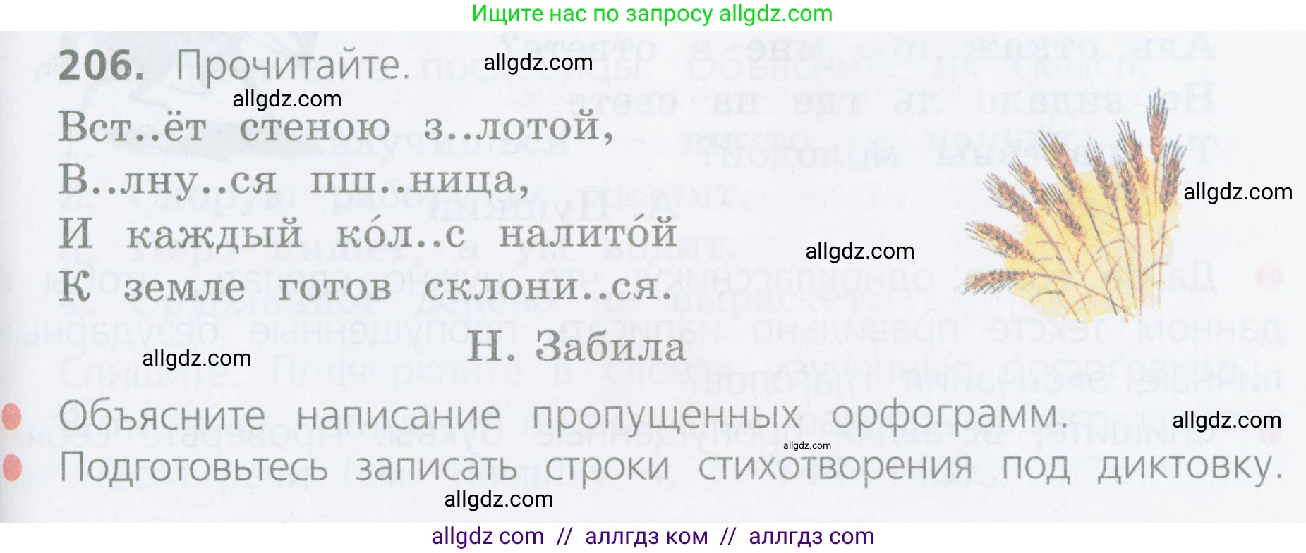 Русский язык, 4 класс Учебник, авторы: Канакина Валентина Павловна, Горецкий Всеслав Гаврилович, издательство Просвещение, Москва, 2023, белого цвета, Часть 2, страница 101, номер 206, Условие