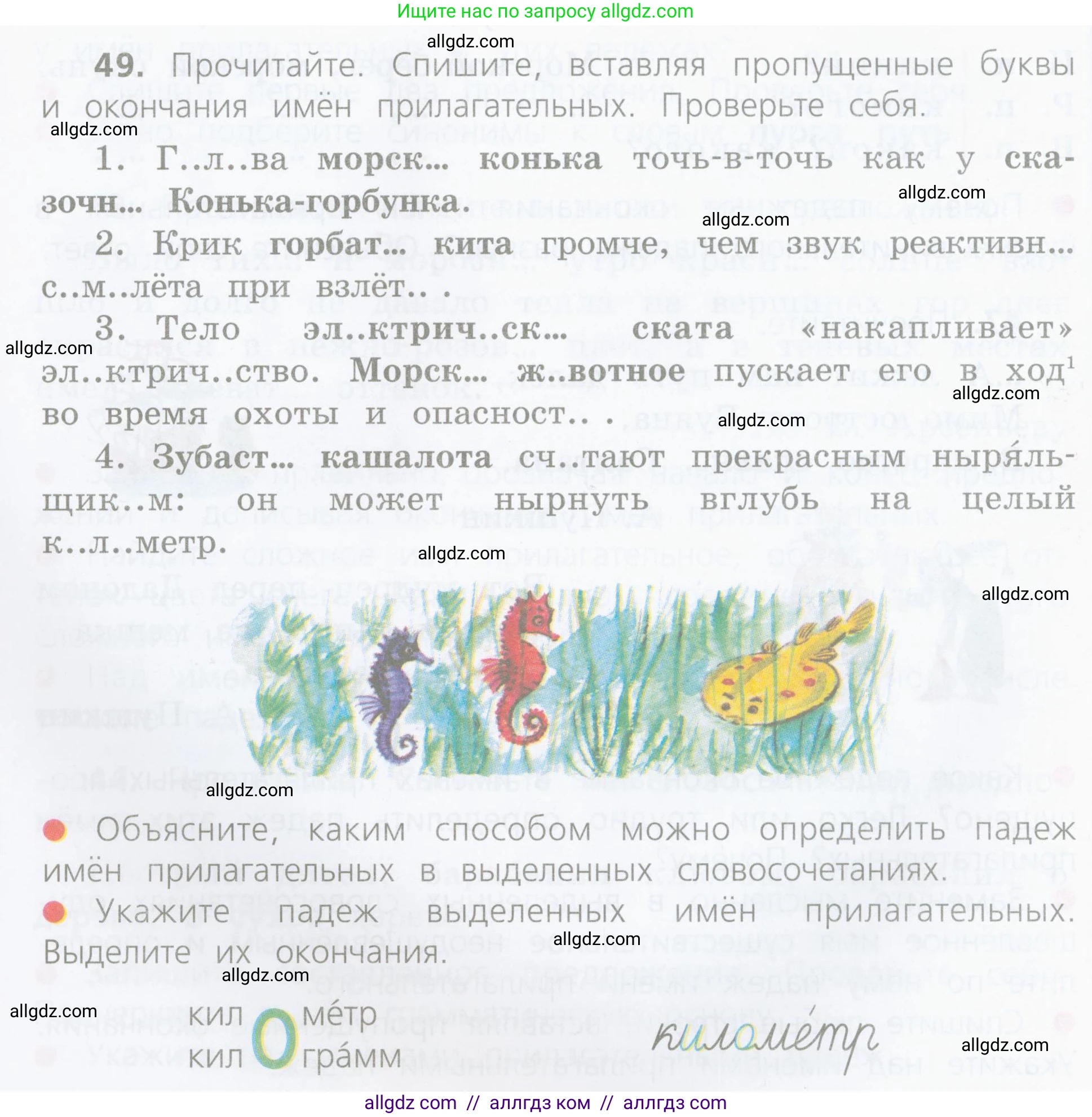 Русский язык, 4 класс Учебник, авторы: Канакина Валентина Павловна, Горецкий Всеслав Гаврилович, издательство Просвещение, Москва, 2023, белого цвета, Часть 2, страница 24, номер 49, Условие