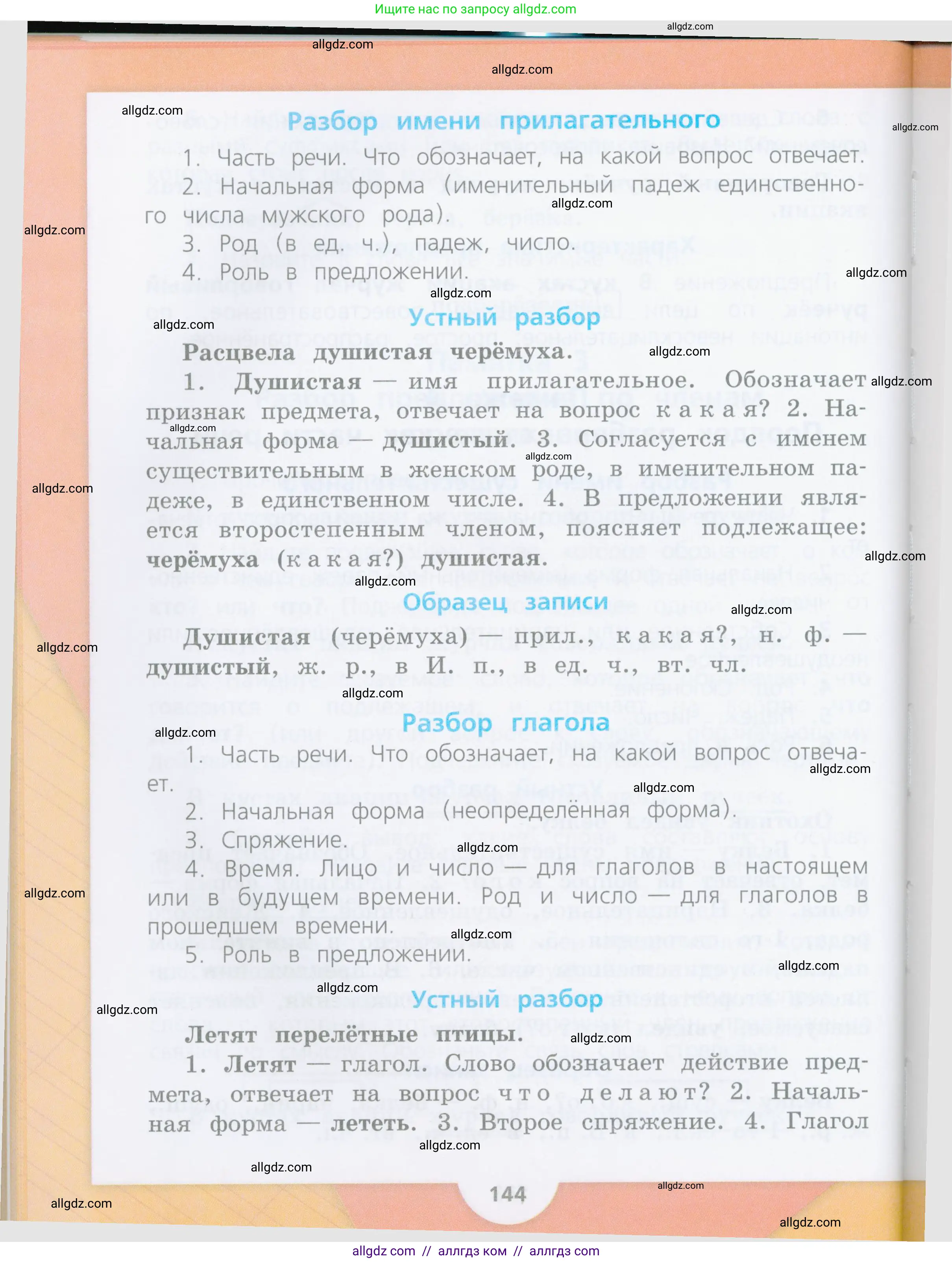 Русский язык, 4 класс Учебник, авторы: Канакина Валентина Павловна, Горецкий Всеслав Гаврилович, издательство Просвещение, Москва, 2023, белого цвета, страница 142