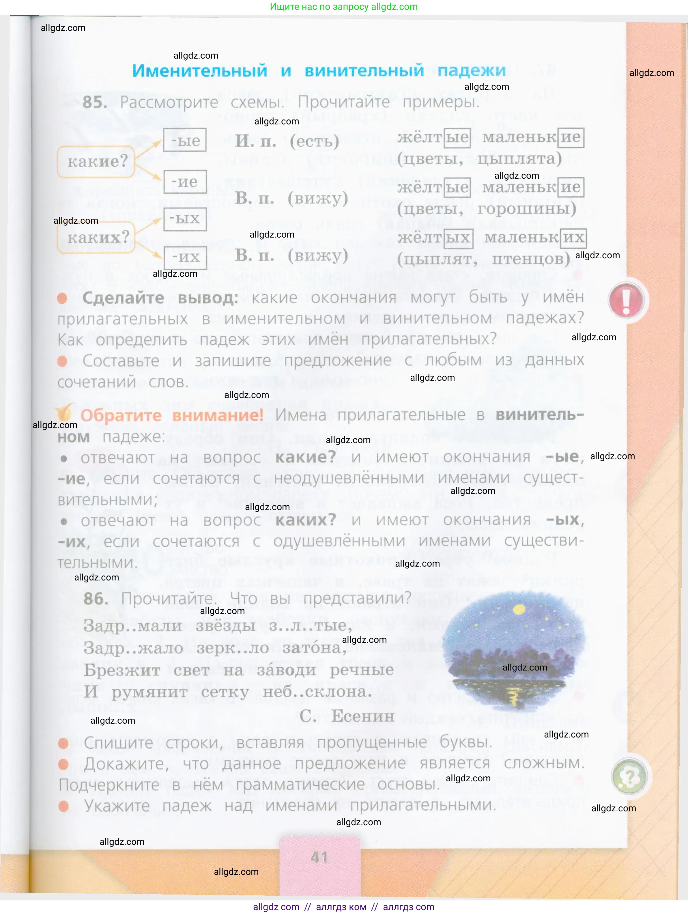 Русский язык, 4 класс Учебник, авторы: Канакина Валентина Павловна, Горецкий Всеслав Гаврилович, издательство Просвещение, Москва, 2023, белого цвета, Часть 2, страница 41