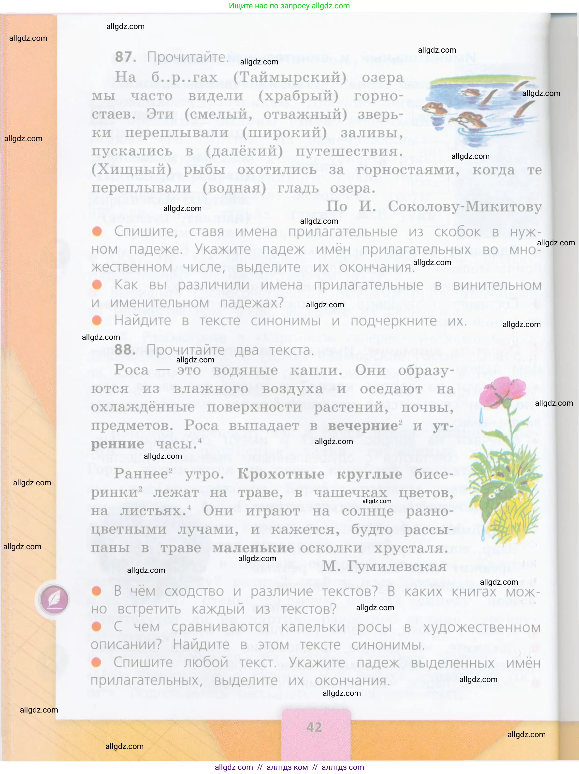 Русский язык, 4 класс Учебник, авторы: Канакина Валентина Павловна, Горецкий Всеслав Гаврилович, издательство Просвещение, Москва, 2023, белого цвета, Часть 2, страница 42