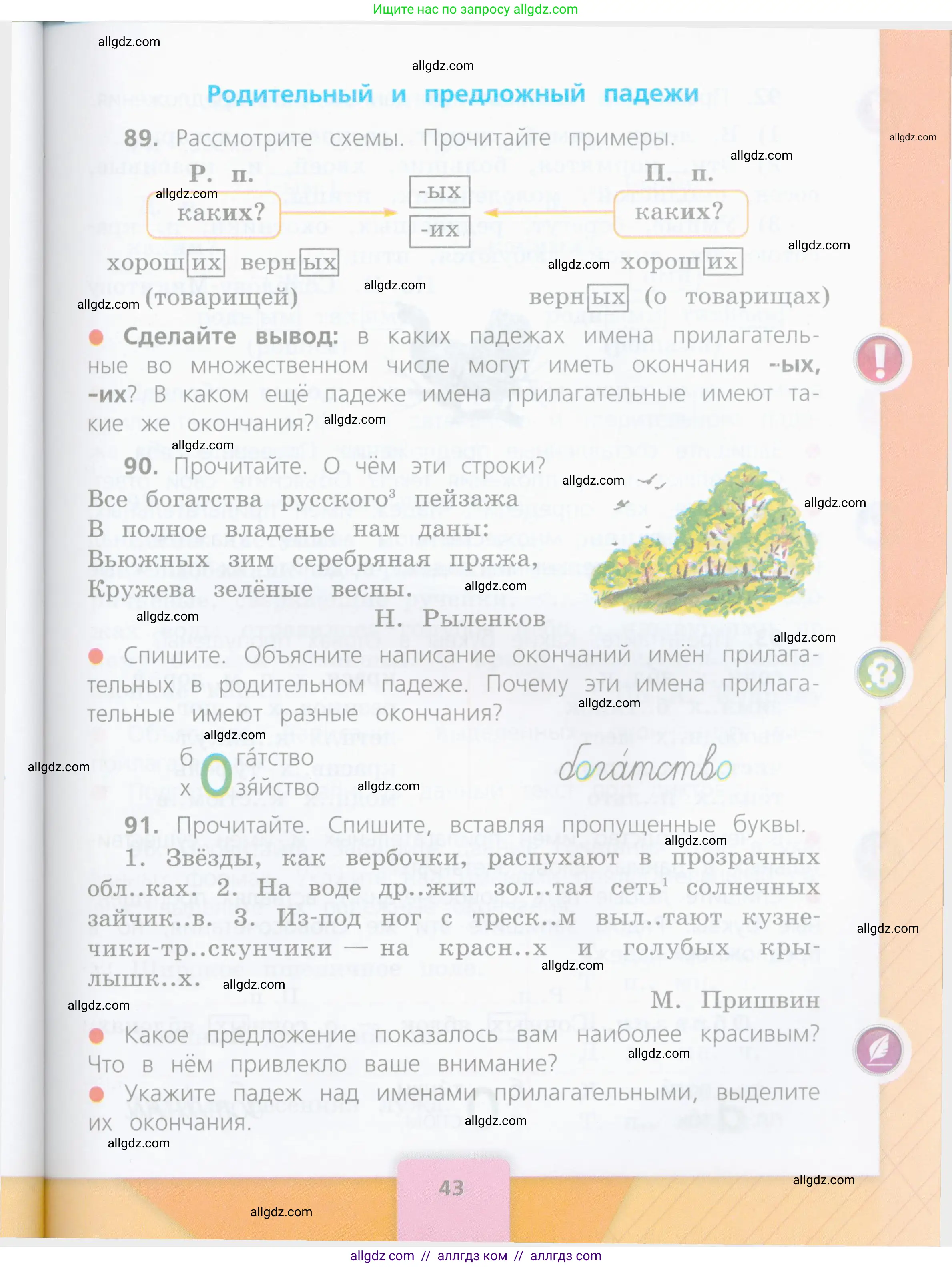 Русский язык, 4 класс Учебник, авторы: Канакина Валентина Павловна, Горецкий Всеслав Гаврилович, издательство Просвещение, Москва, 2023, белого цвета, Часть 2, страница 43