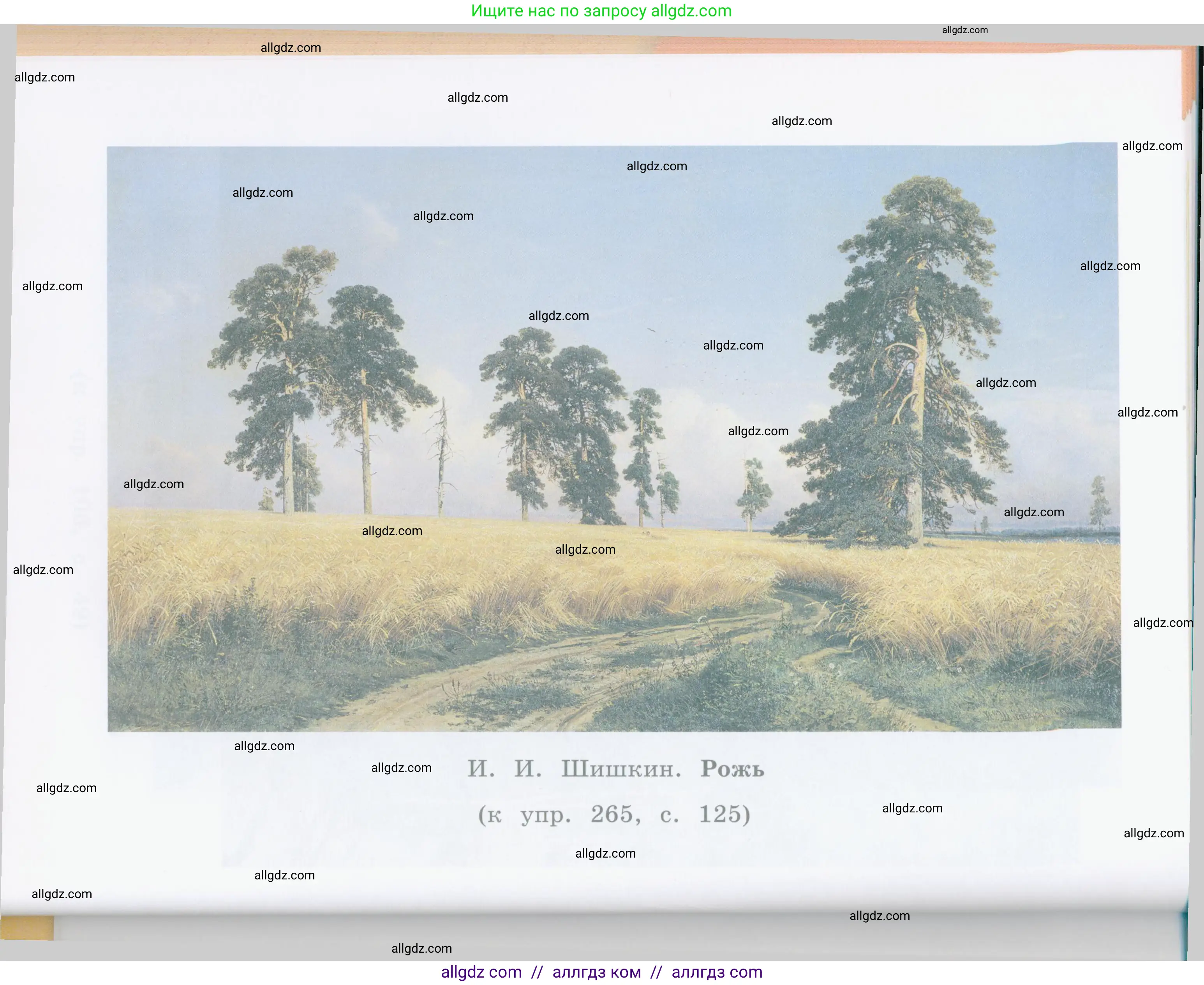 Русский язык, 4 класс Учебник, авторы: Канакина Валентина Павловна, Горецкий Всеслав Гаврилович, издательство Просвещение, Москва, 2023, белого цвета, Часть 2, страница 80