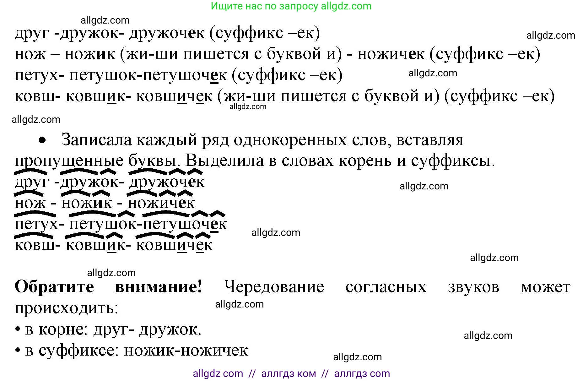 Русский язык, 4 класс Учебник, авторы: Канакина Валентина Павловна, Горецкий Всеслав Гаврилович, издательство Просвещение, Москва, 2023, белого цвета, Часть 1, страница 64, номер 110, Решение (продолжение 2)
