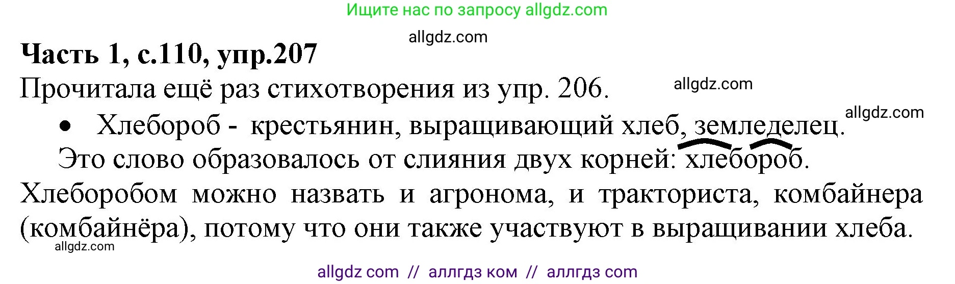 Русский язык, 4 класс Учебник, авторы: Канакина Валентина Павловна, Горецкий Всеслав Гаврилович, издательство Просвещение, Москва, 2023, белого цвета, Часть 1, страница 110, номер 207, Решение