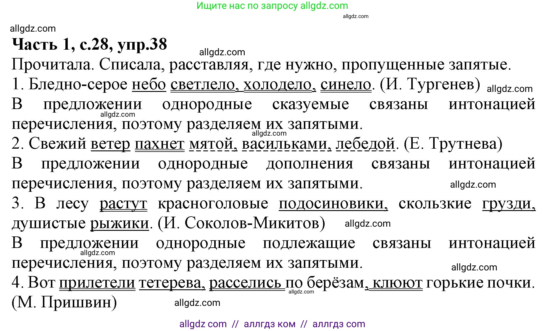 Русский язык, 4 класс Учебник, авторы: Канакина Валентина Павловна, Горецкий Всеслав Гаврилович, издательство Просвещение, Москва, 2023, белого цвета, Часть 1, страница 28, номер 38, Решение