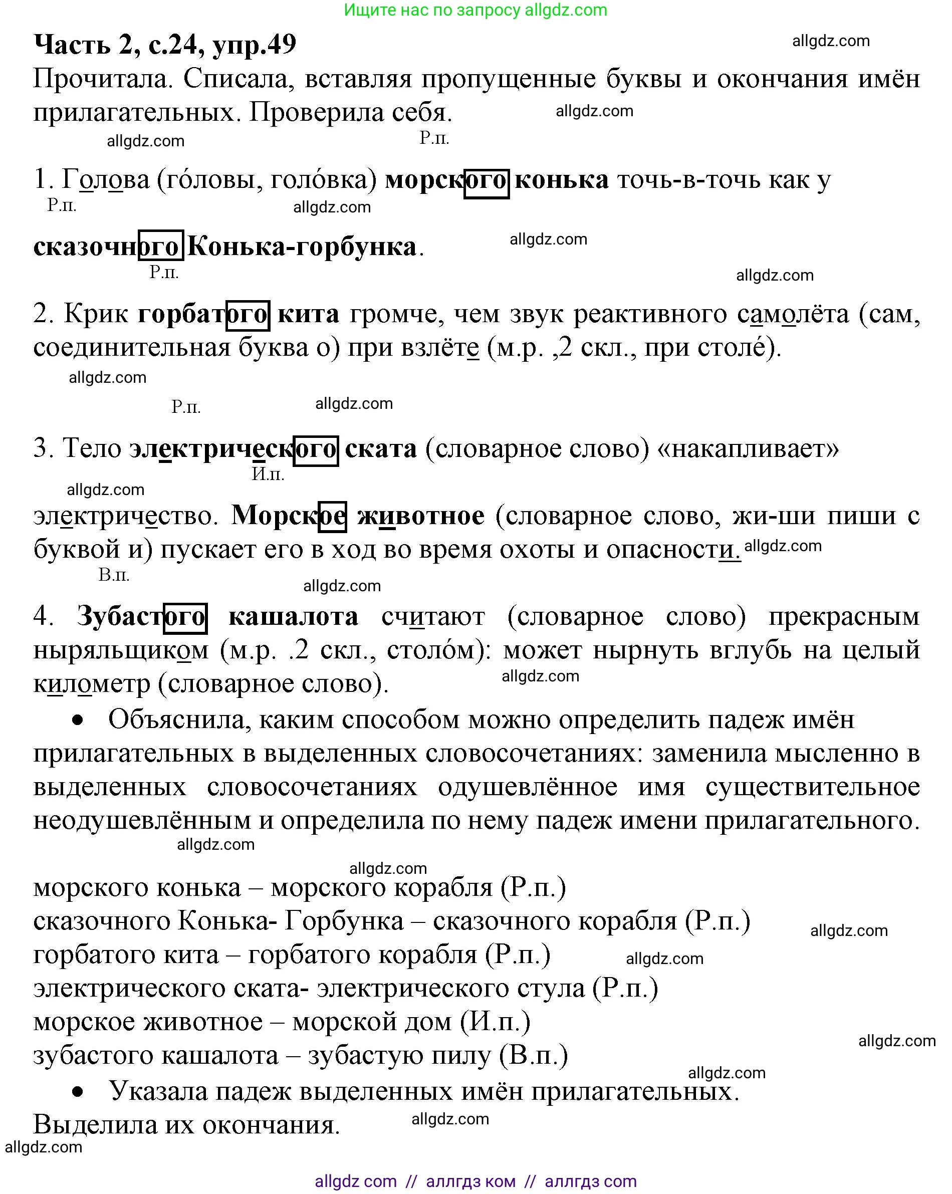 Русский язык, 4 класс Учебник, авторы: Канакина Валентина Павловна, Горецкий Всеслав Гаврилович, издательство Просвещение, Москва, 2023, белого цвета, Часть 2, страница 24, номер 49, Решение