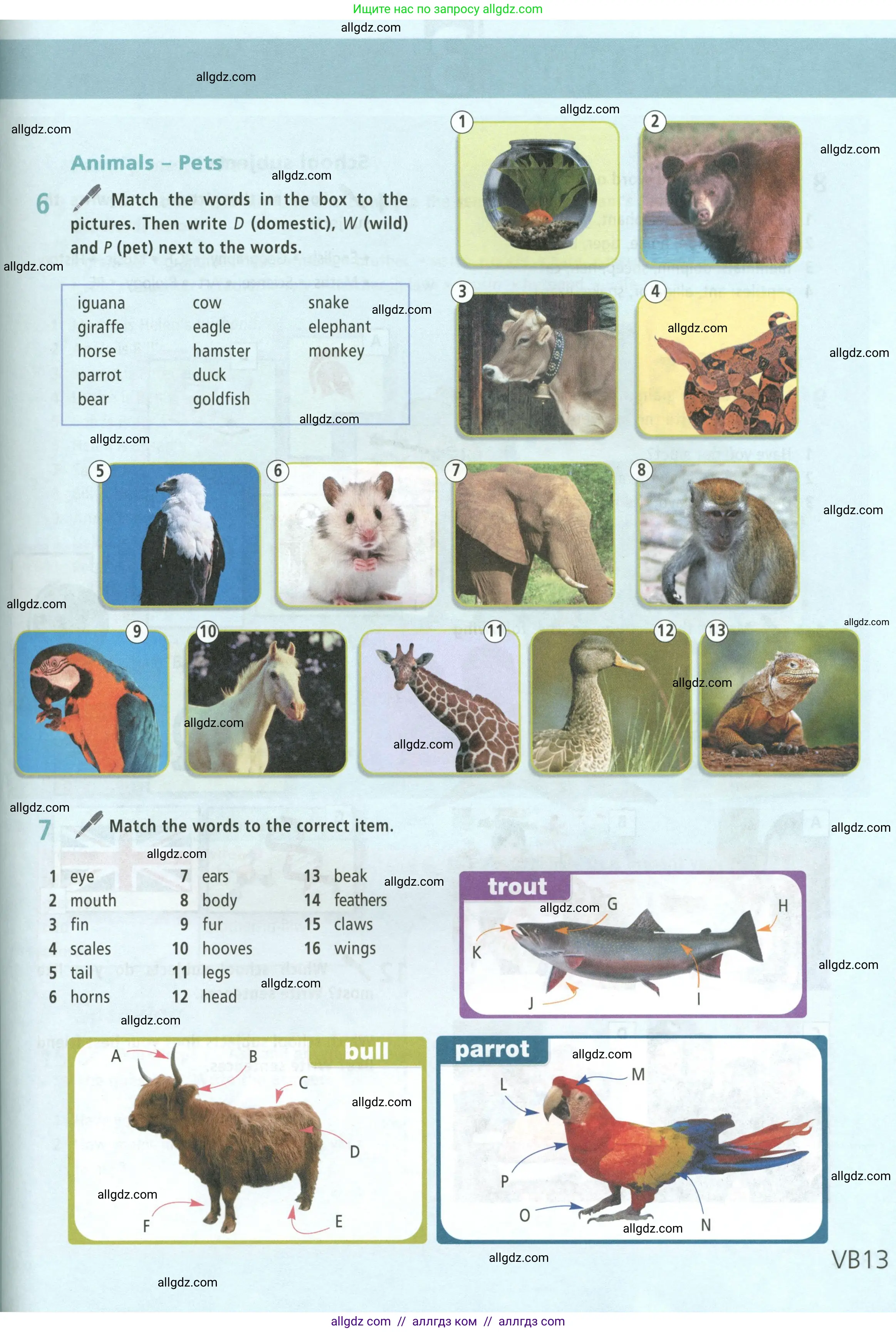 Английский язык (english), 5 класс Учебник (Student's book), авторы: Баранова Ксения Михайловна (Baranova Ksenia), Дули Дженни (Dooley Jenny), Копылова Виктория Викторовна (Kopylova Victoria), Мильруд Радислав Петрович (Millrood Radislav), Эванс Вирджиния (Evans Virginia), издательство Просвещение, Москва, 2023, белого цвета, страница 133