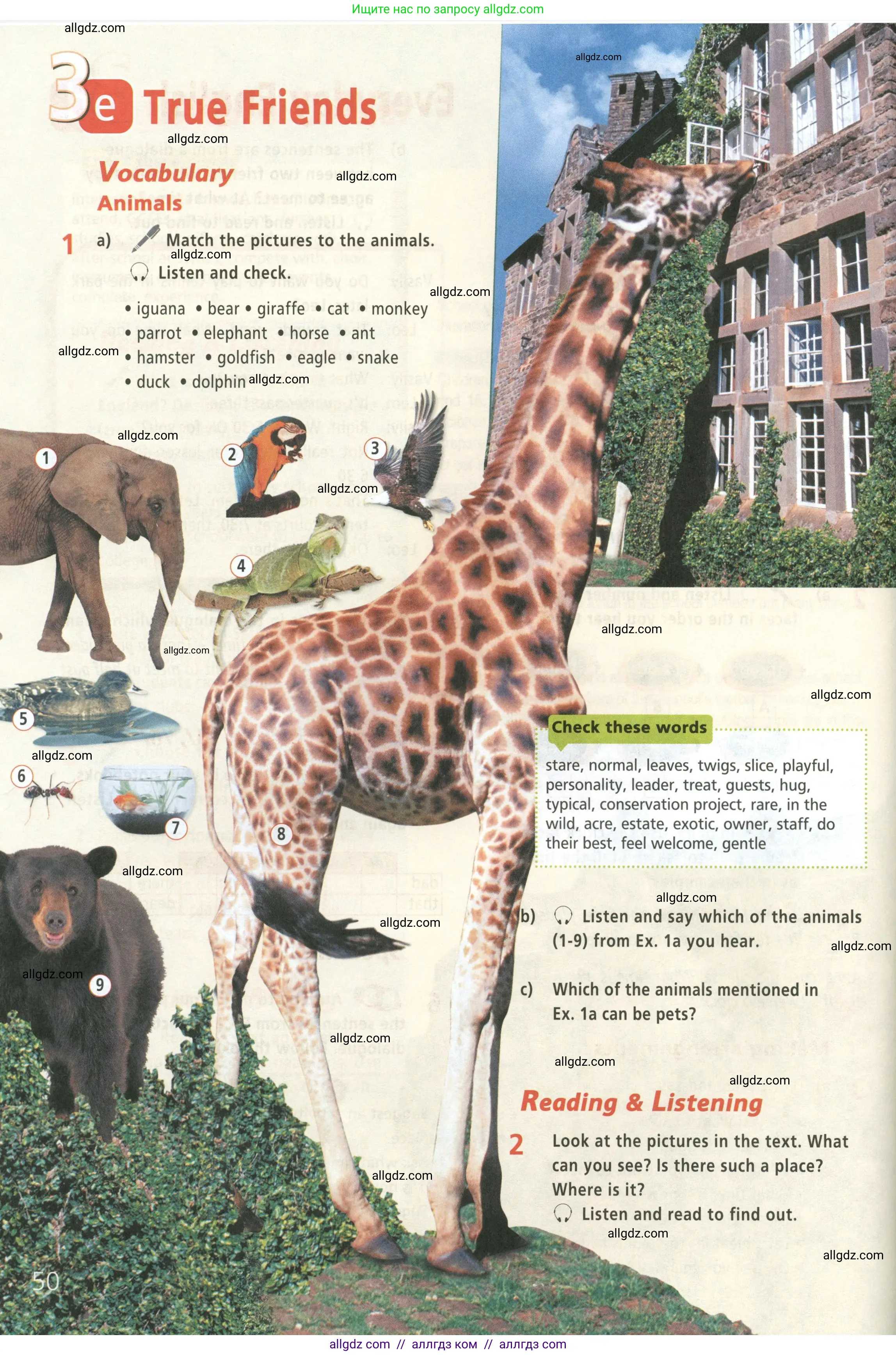 Английский язык (english), 5 класс Учебник (Student's book), авторы: Баранова Ксения Михайловна (Baranova Ksenia), Дули Дженни (Dooley Jenny), Копылова Виктория Викторовна (Kopylova Victoria), Мильруд Радислав Петрович (Millrood Radislav), Эванс Вирджиния (Evans Virginia), издательство Просвещение, Москва, 2023, белого цвета, страница 50