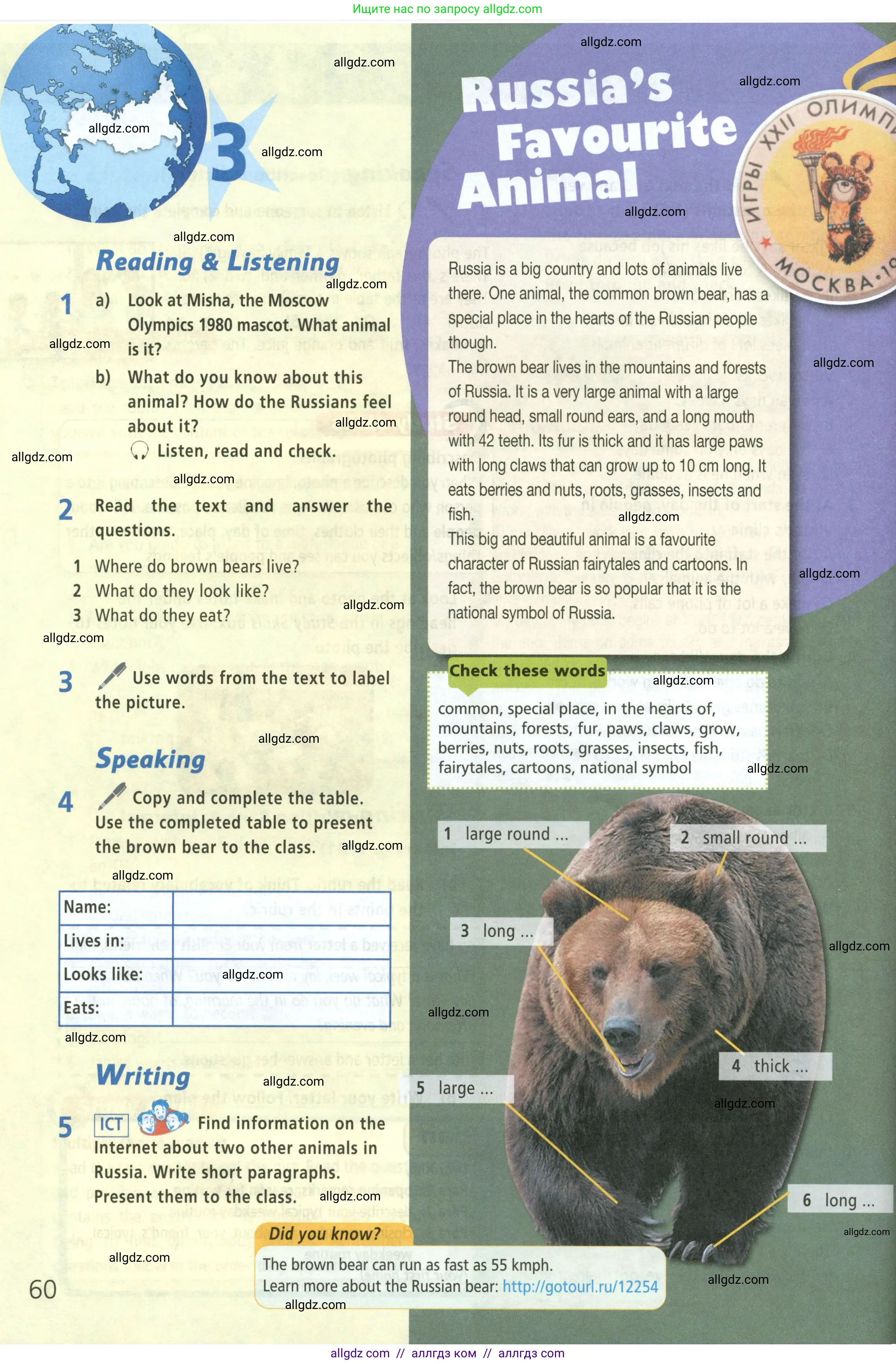 Английский язык (english), 5 класс Учебник (Student's book), авторы: Баранова Ксения Михайловна (Baranova Ksenia), Дули Дженни (Dooley Jenny), Копылова Виктория Викторовна (Kopylova Victoria), Мильруд Радислав Петрович (Millrood Radislav), Эванс Вирджиния (Evans Virginia), издательство Просвещение, Москва, 2023, белого цвета, страница 60