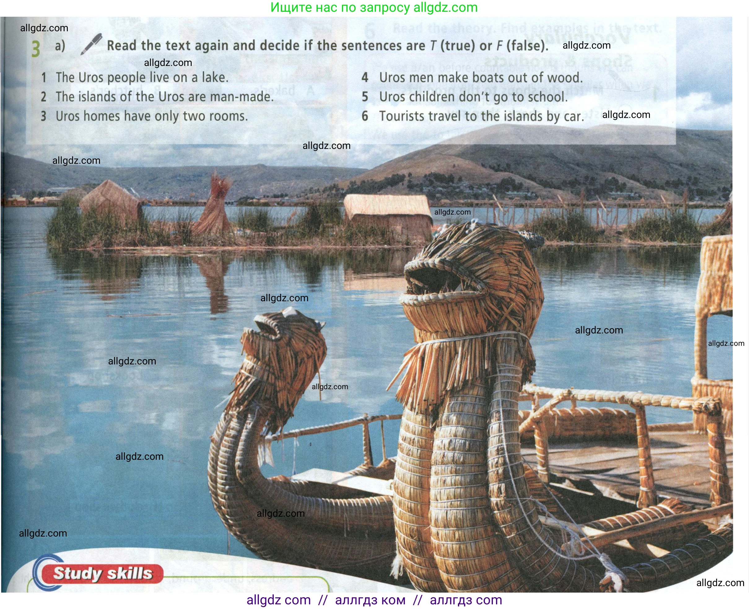 Английский язык (english), 5 класс Учебник (Student's book), авторы: Баранова Ксения Михайловна (Baranova Ksenia), Дули Дженни (Dooley Jenny), Копылова Виктория Викторовна (Kopylova Victoria), Мильруд Радислав Петрович (Millrood Radislav), Эванс Вирджиния (Evans Virginia), издательство Просвещение, Москва, 2023, белого цвета, страница 33, номер 3, Условие