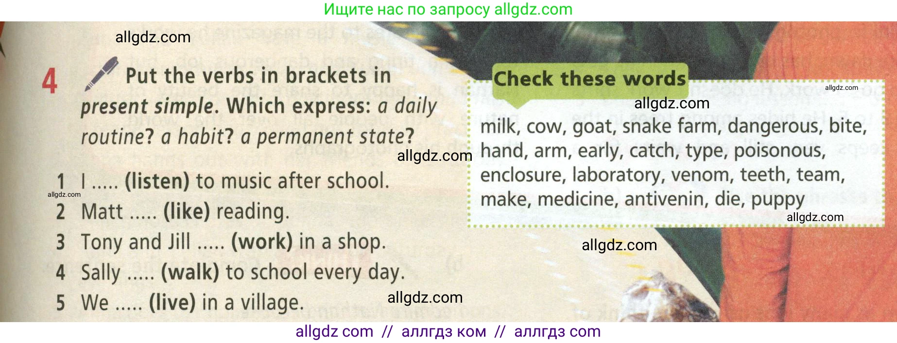 Английский язык (english), 5 класс Учебник (Student's book), авторы: Баранова Ксения Михайловна (Baranova Ksenia), Дули Дженни (Dooley Jenny), Копылова Виктория Викторовна (Kopylova Victoria), Мильруд Радислав Петрович (Millrood Radislav), Эванс Вирджиния (Evans Virginia), издательство Просвещение, Москва, 2023, белого цвета, страница 45, номер 4, Условие