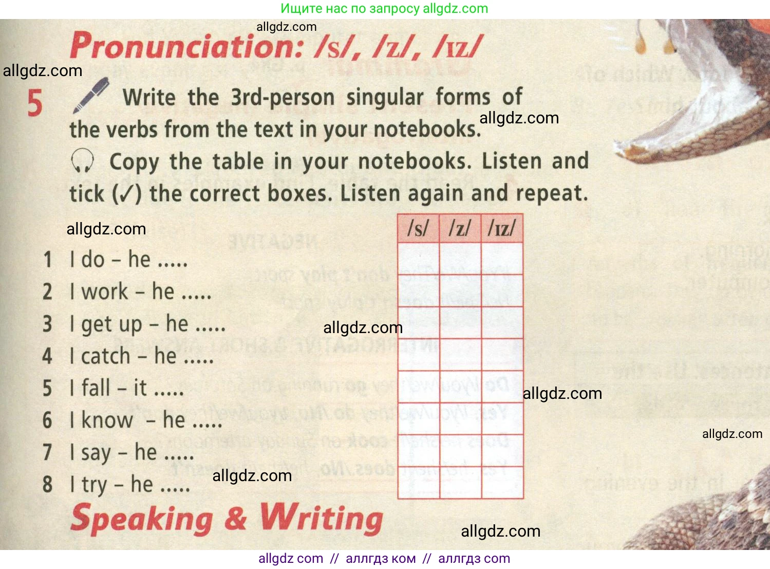 Английский язык (english), 5 класс Учебник (Student's book), авторы: Баранова Ксения Михайловна (Baranova Ksenia), Дули Дженни (Dooley Jenny), Копылова Виктория Викторовна (Kopylova Victoria), Мильруд Радислав Петрович (Millrood Radislav), Эванс Вирджиния (Evans Virginia), издательство Просвещение, Москва, 2023, белого цвета, страница 45, номер 5, Условие